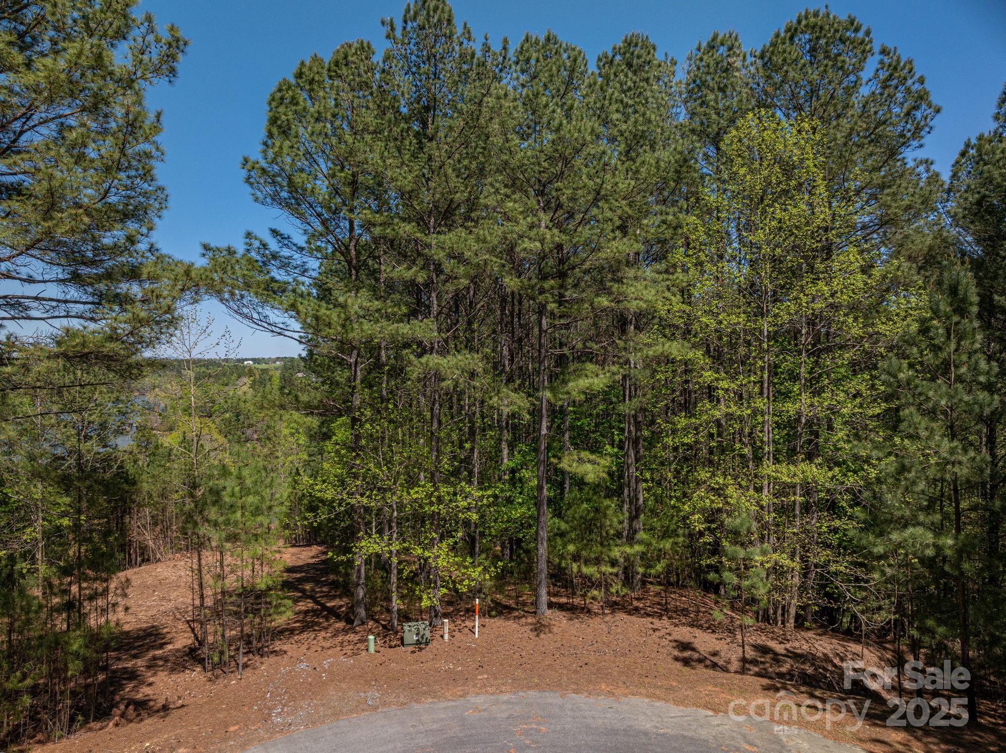 1236 Boardwalk Drive Property Photo 12