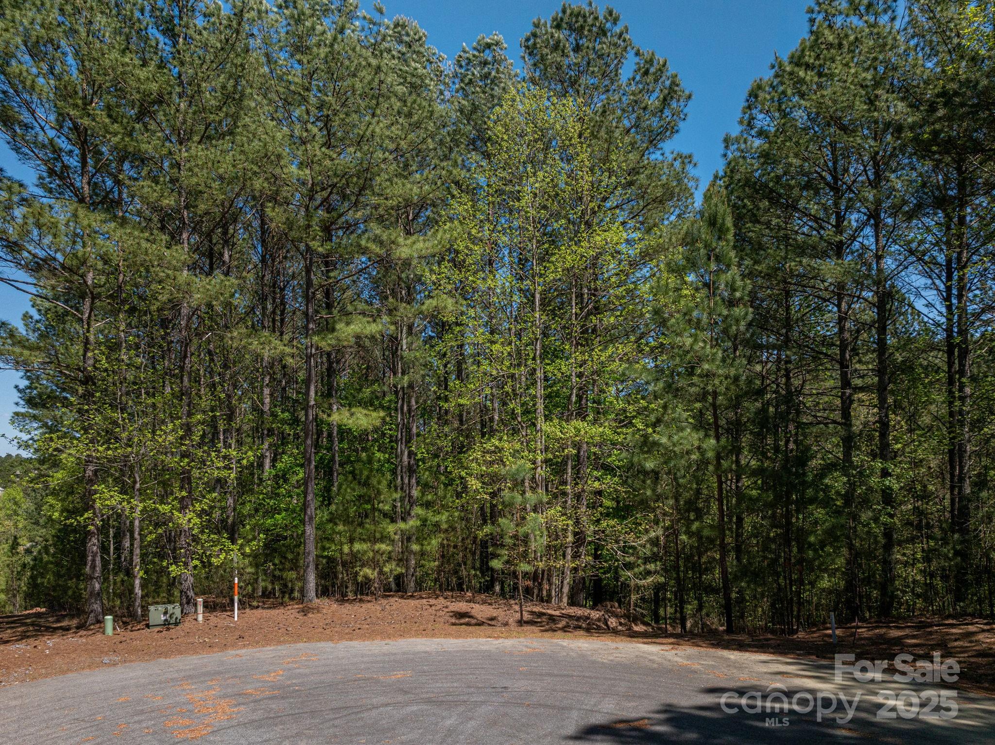 1236 Boardwalk Drive Property Photo 21