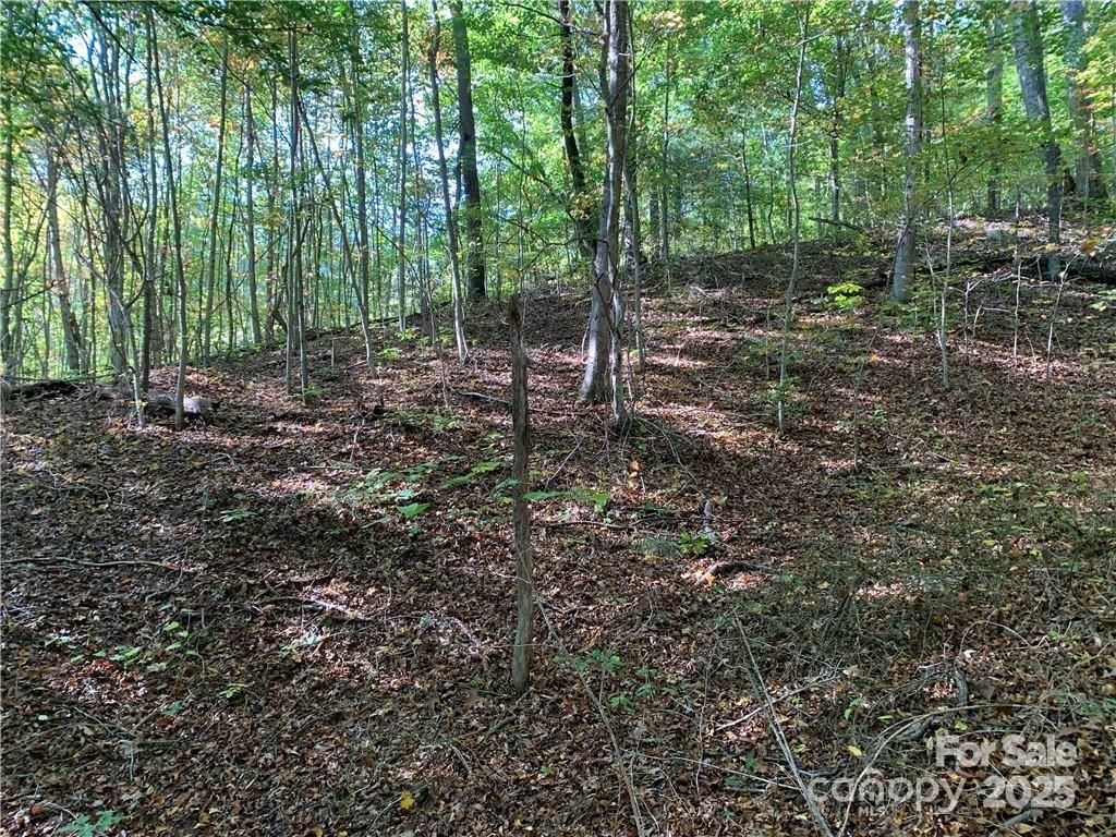 107 Rice Road 9 Property Photo 2