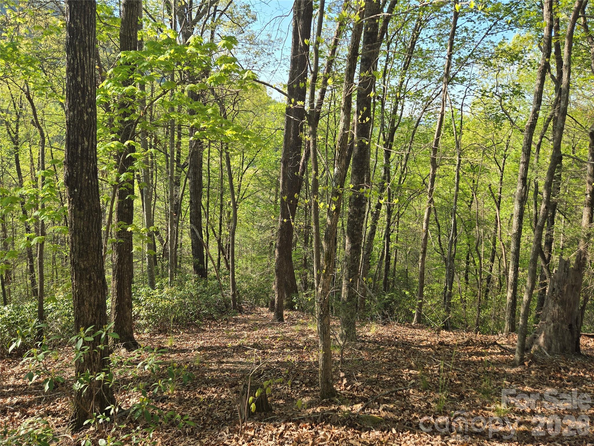 Lot 164 Spanarkel Lane Property Photo 2
