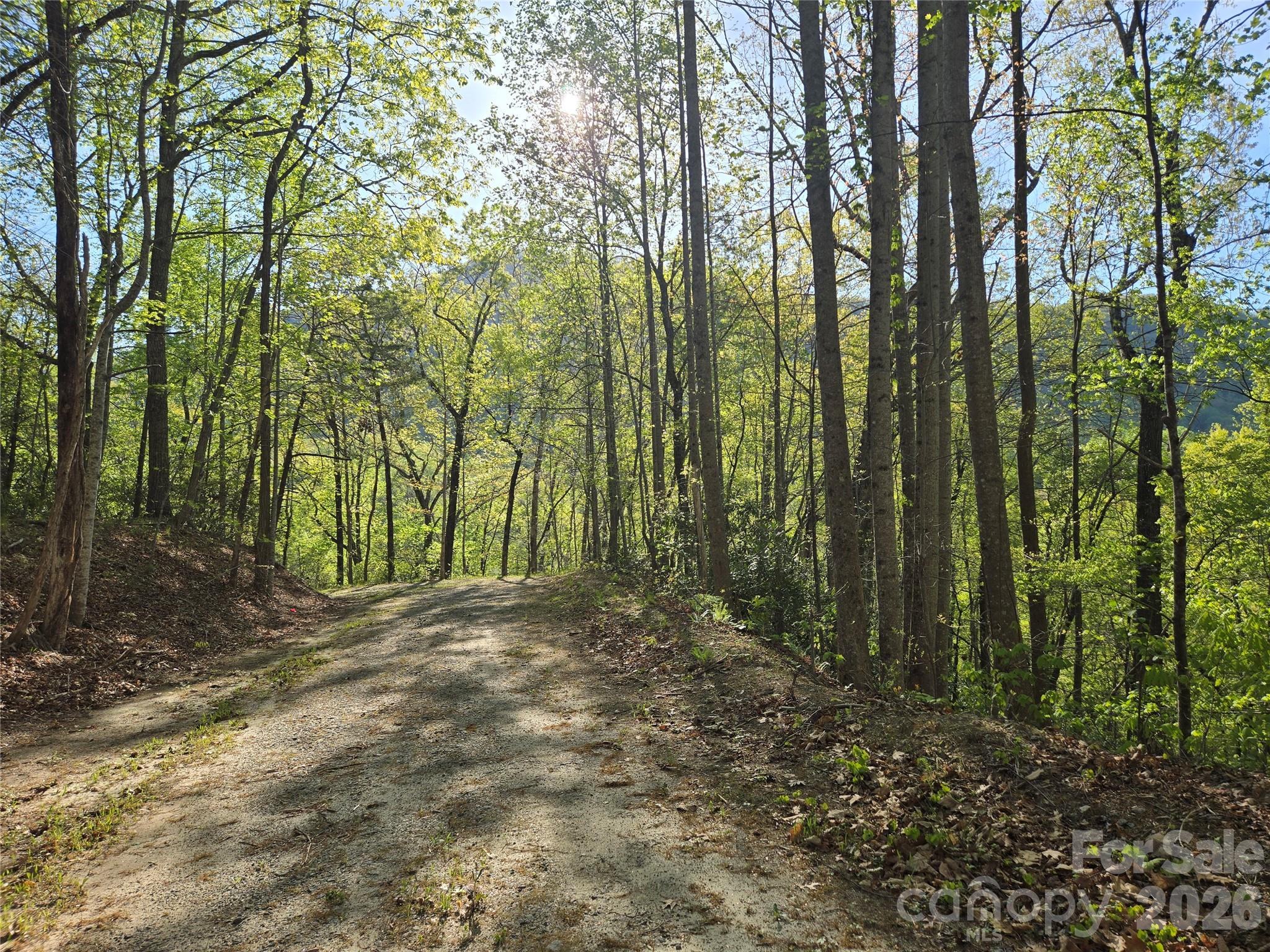 Lot 164 Spanarkel Lane Property Photo 4