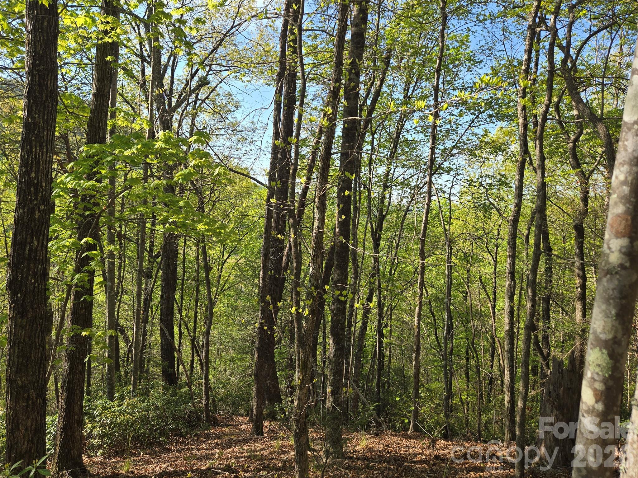 Lot 164 Spanarkel Lane Property Photo 6