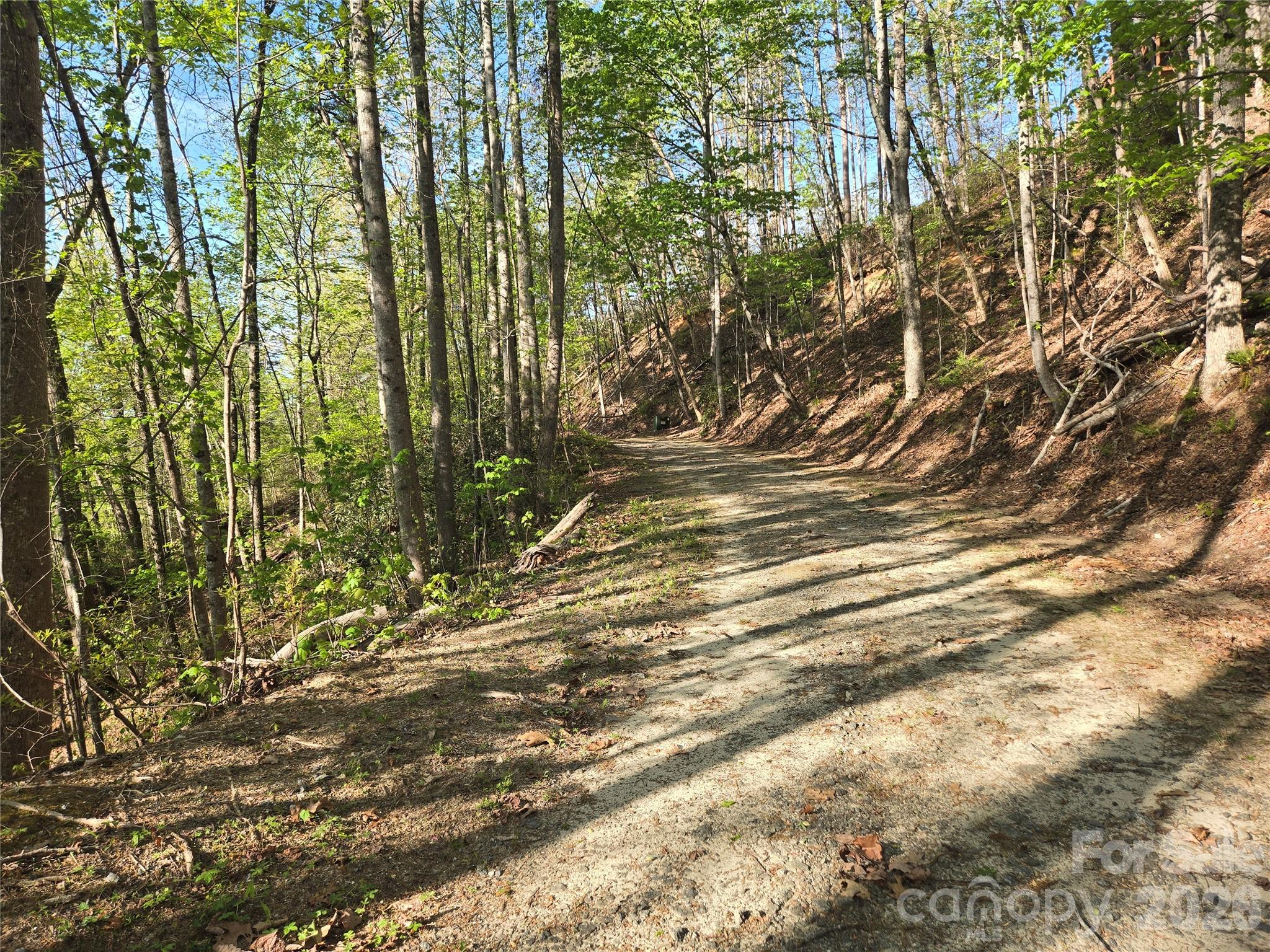 Lot 164 Spanarkel Lane Property Photo 7