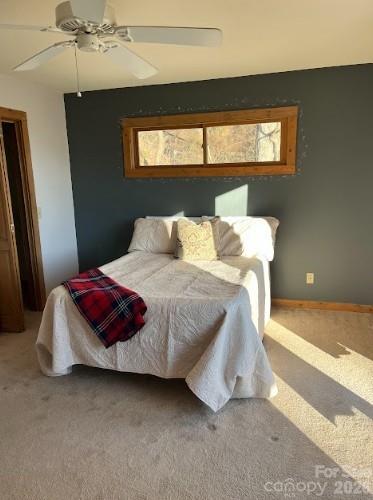 1426 Setzer Cove Road Property Photo 19