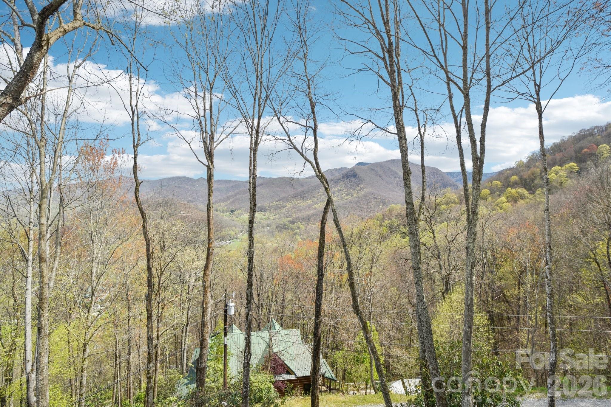 1426 Setzer Cove Road Property Photo 34