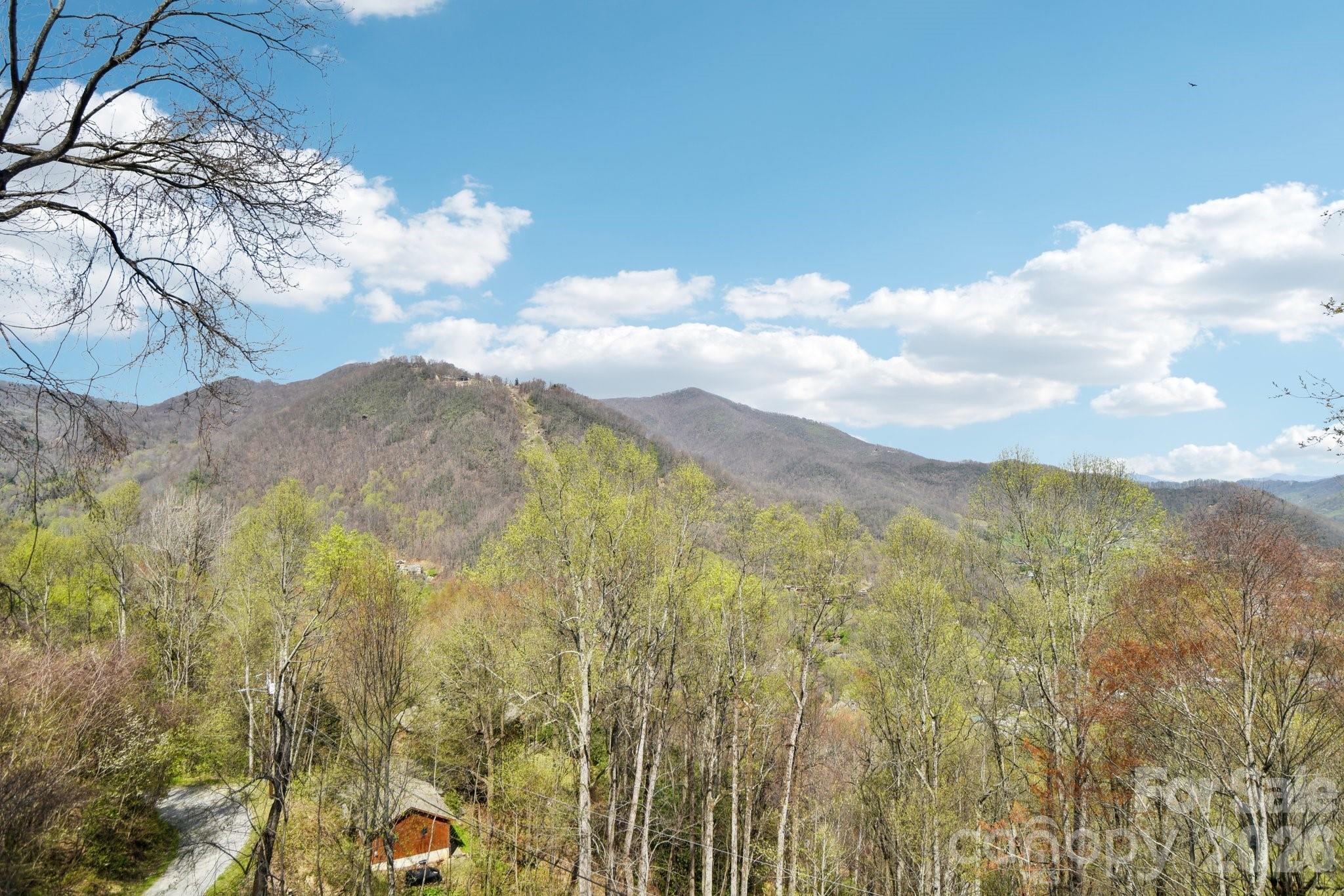 1426 Setzer Cove Road Property Photo 35