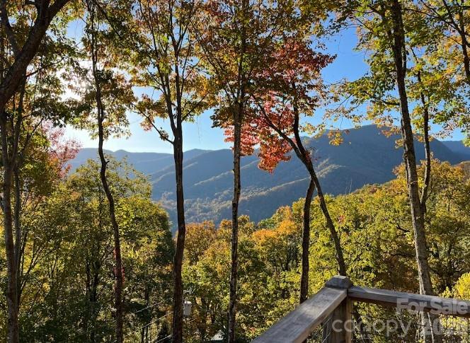 1426 Setzer Cove Road Property Photo 36