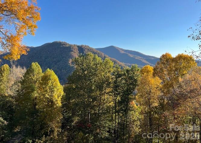 1426 Setzer Cove Road Property Photo 37