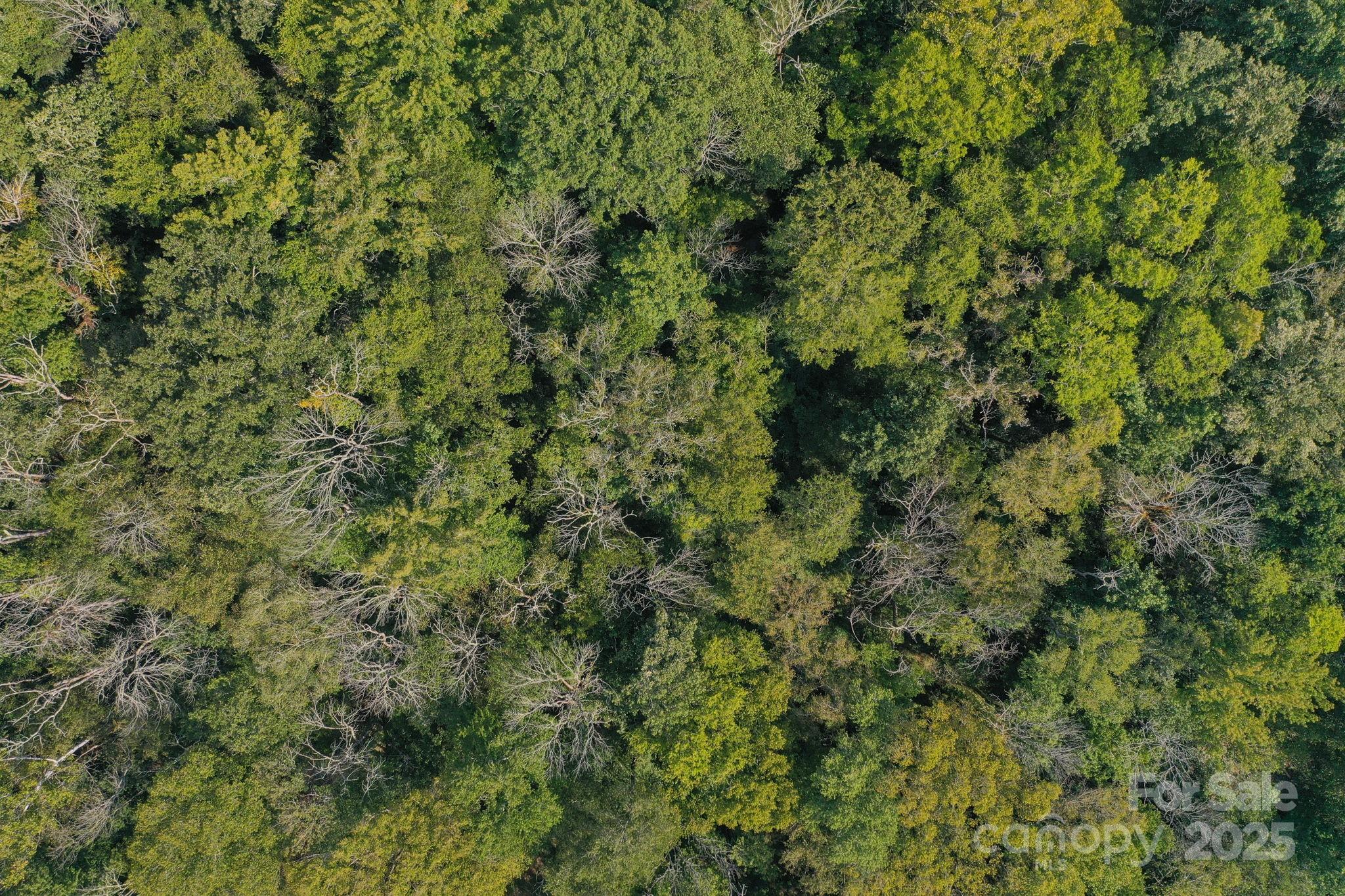 00 Stonehenge Court Property Photo 3