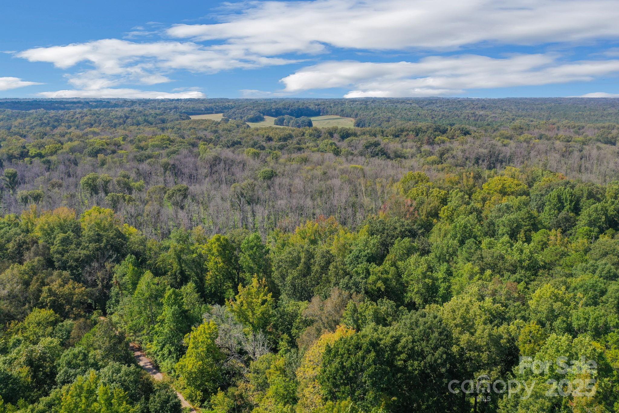 00 Stonehenge Court Property Photo 5