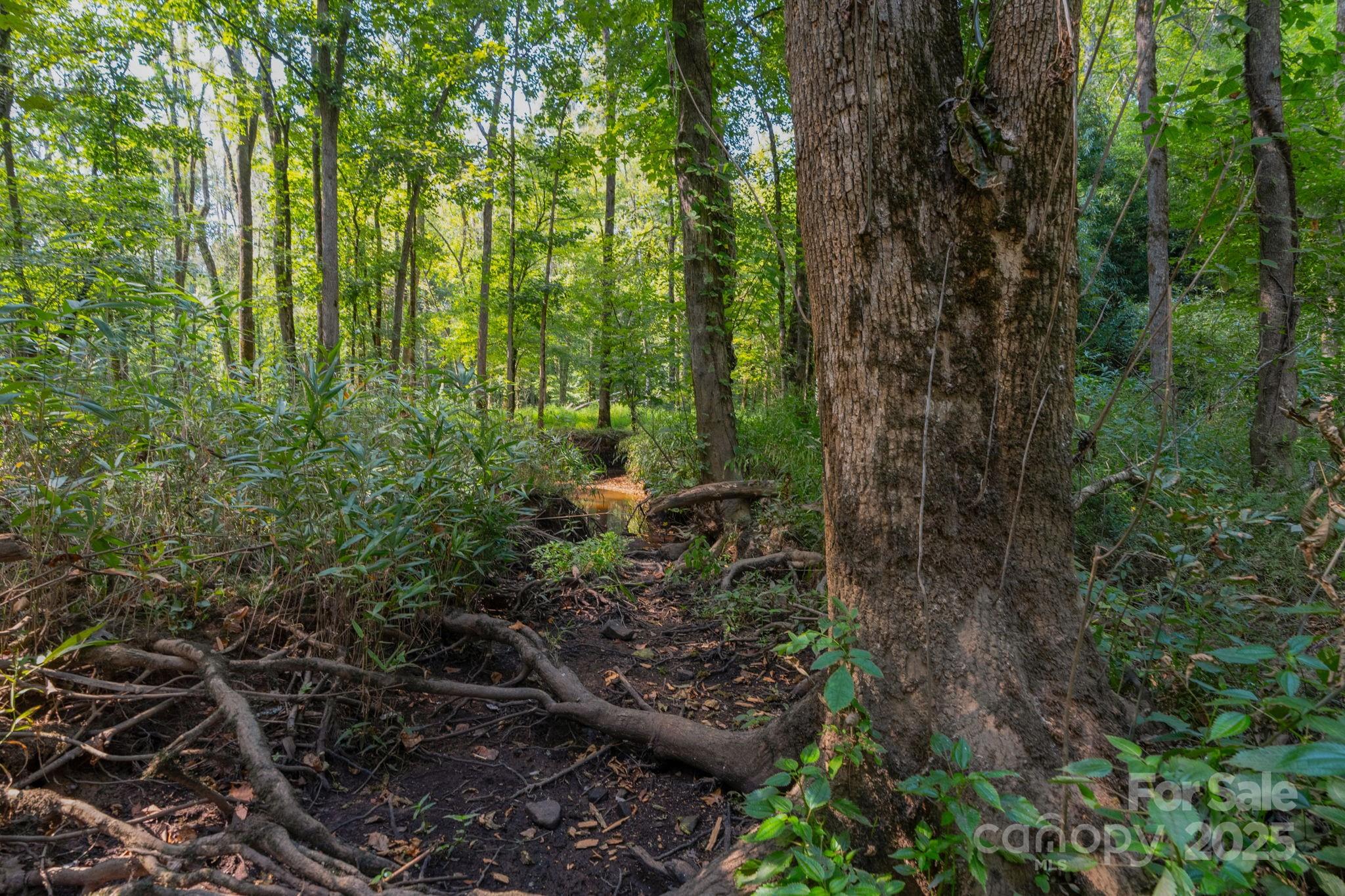 00 Stonehenge Court Property Photo 6