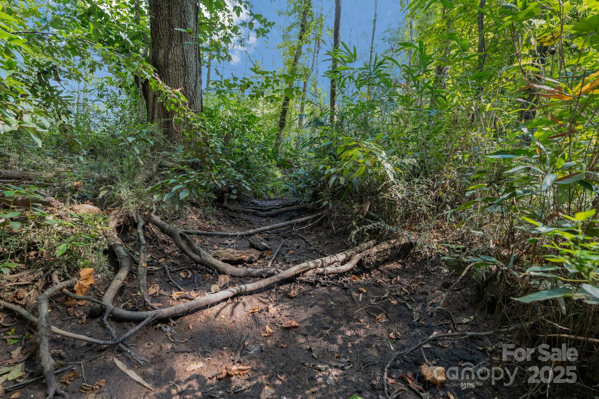 00 Stonehenge Court Property Photo 10