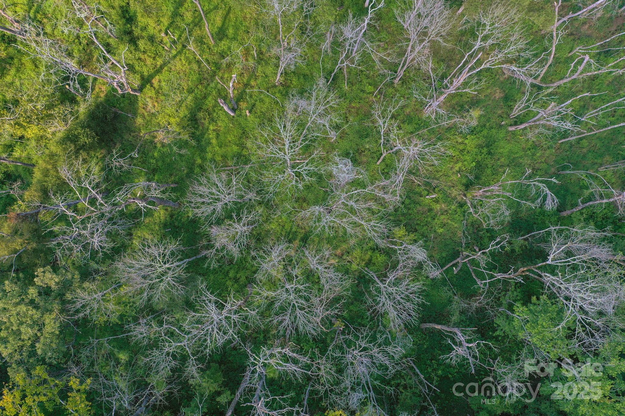 00 Stonehenge Court Property Photo 14