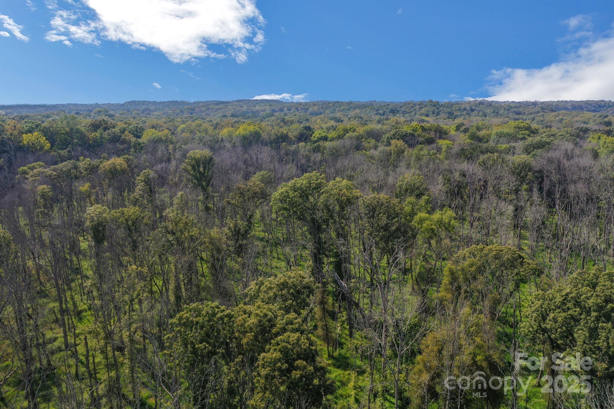 00 Stonehenge Court Property Photo 15