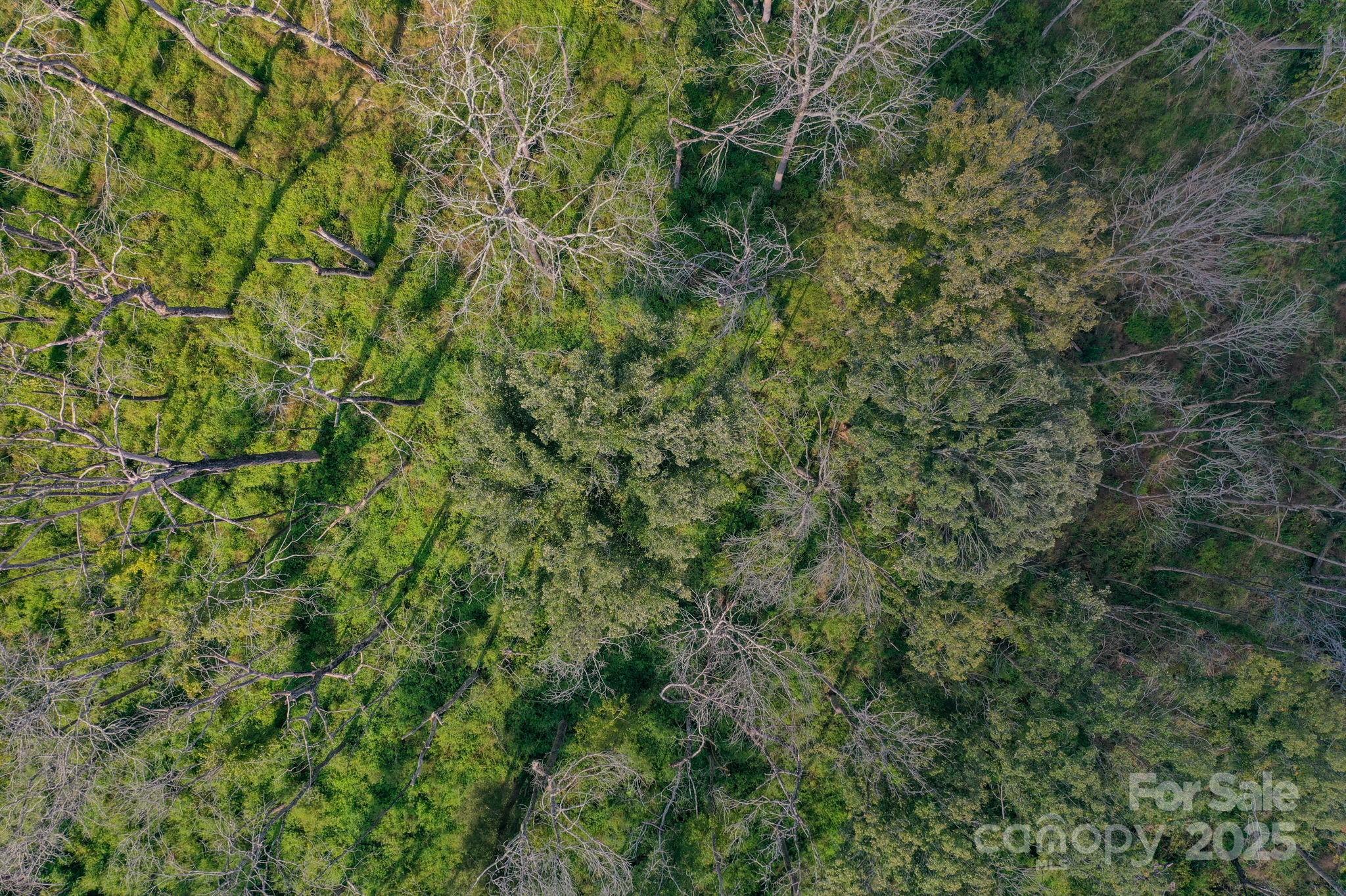 00 Stonehenge Court Property Photo 16