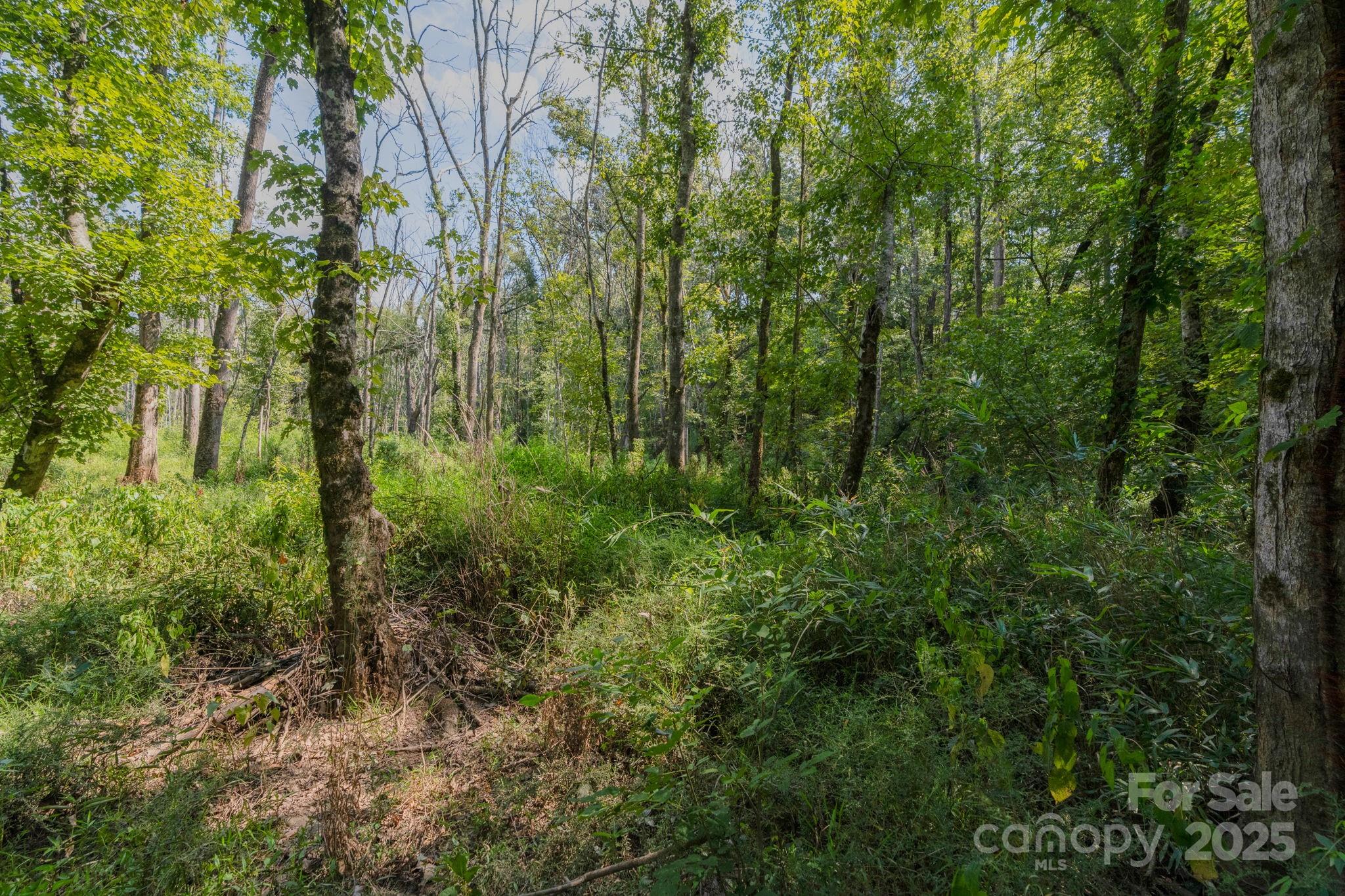 00 Stonehenge Court Property Photo 20