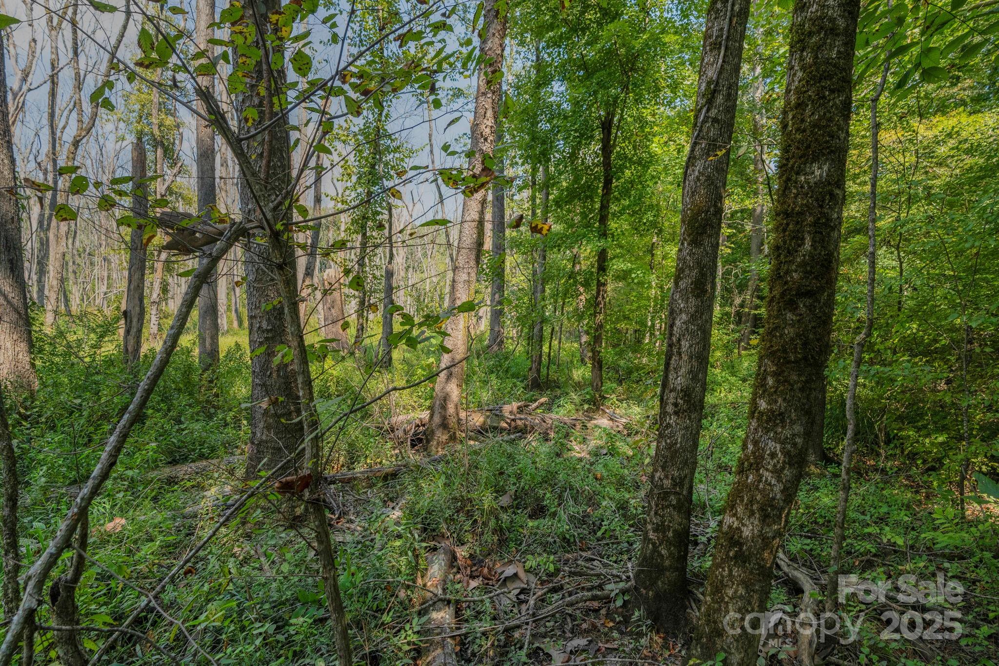 00 Stonehenge Court Property Photo 23