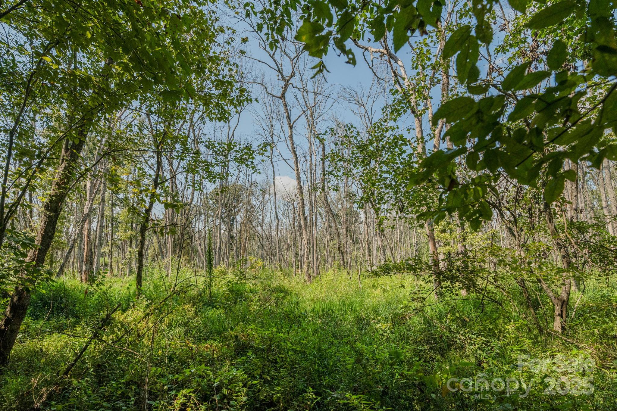 00 Stonehenge Court Property Photo 26