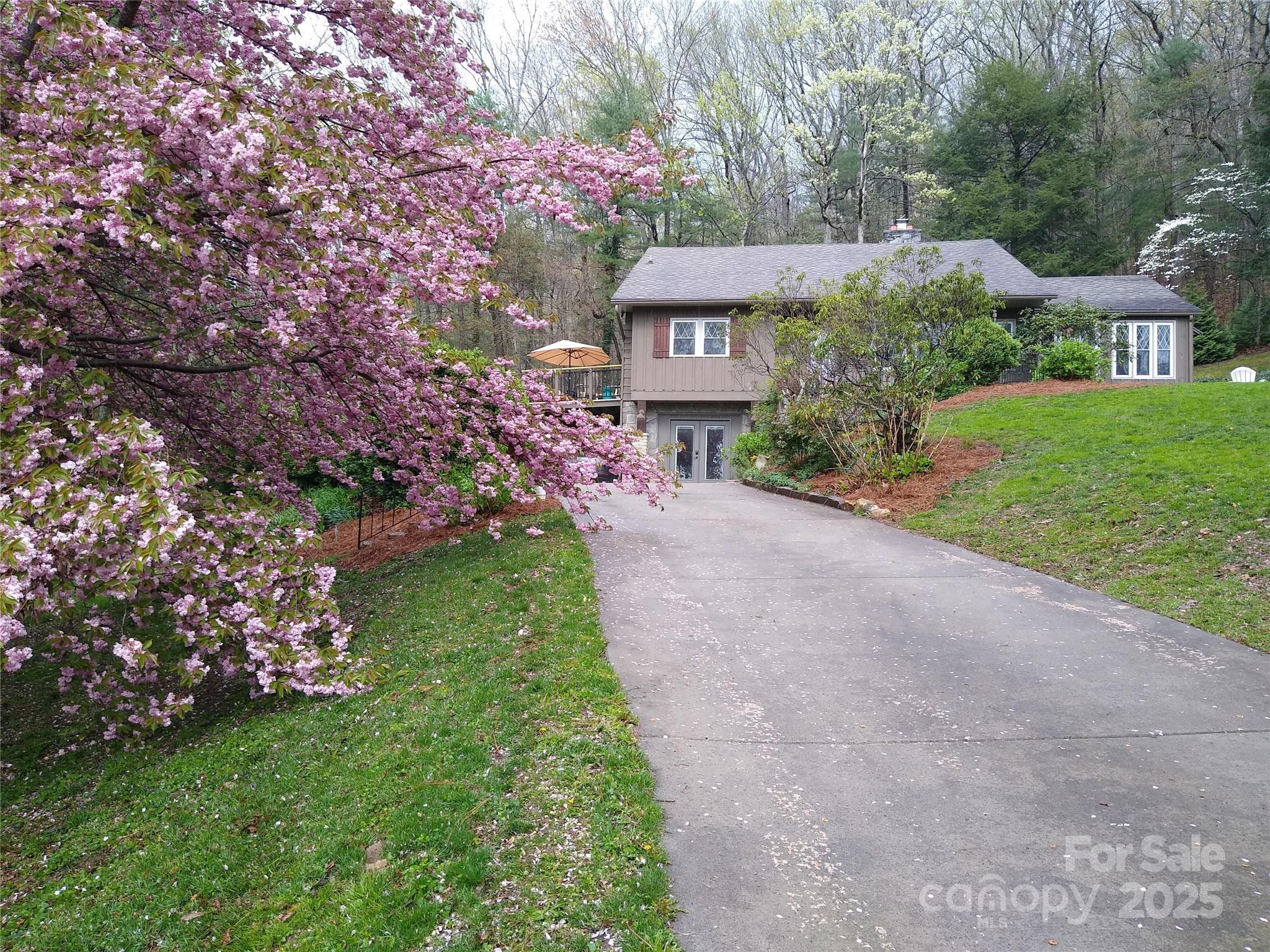 242 Birch Lane Property Photo 2