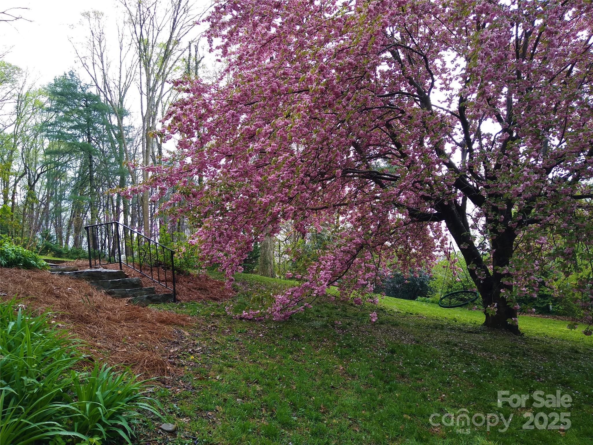 242 Birch Lane Property Photo 47