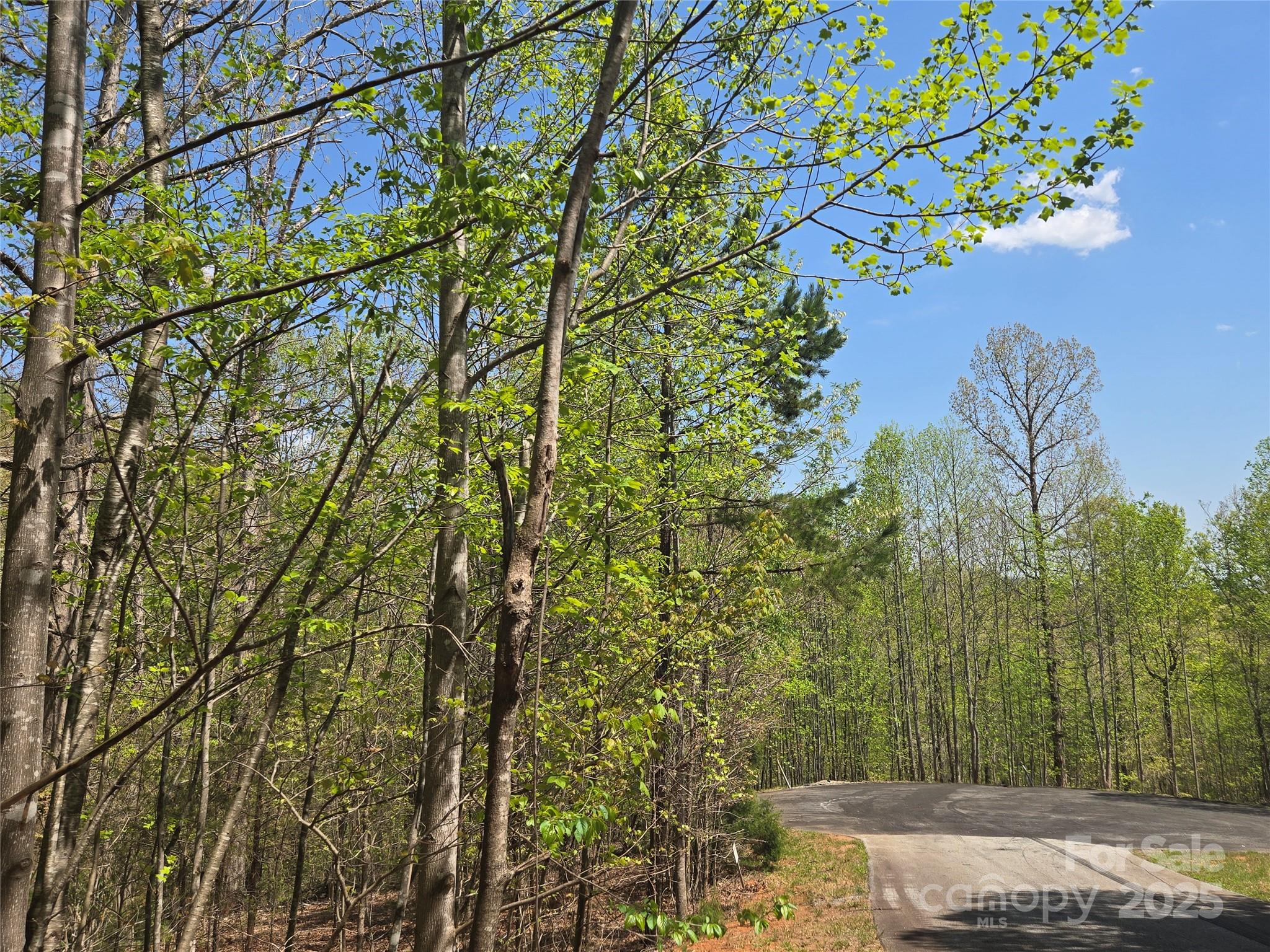 Lot 11 Back Hollow Drive Property Photo 1
