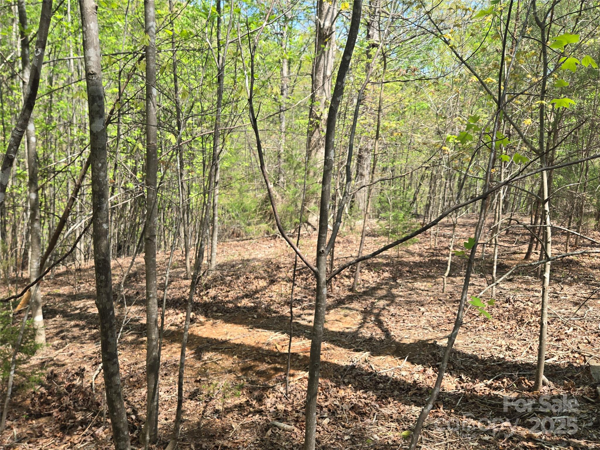 Lot 11 Back Hollow Drive Property Photo 2