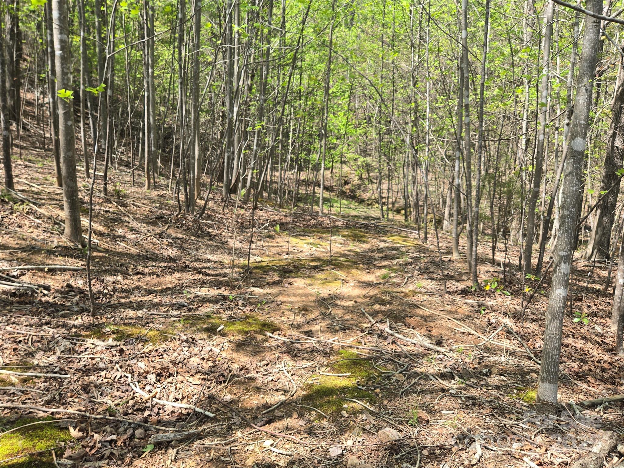 Lot 11 Back Hollow Drive Property Photo 3