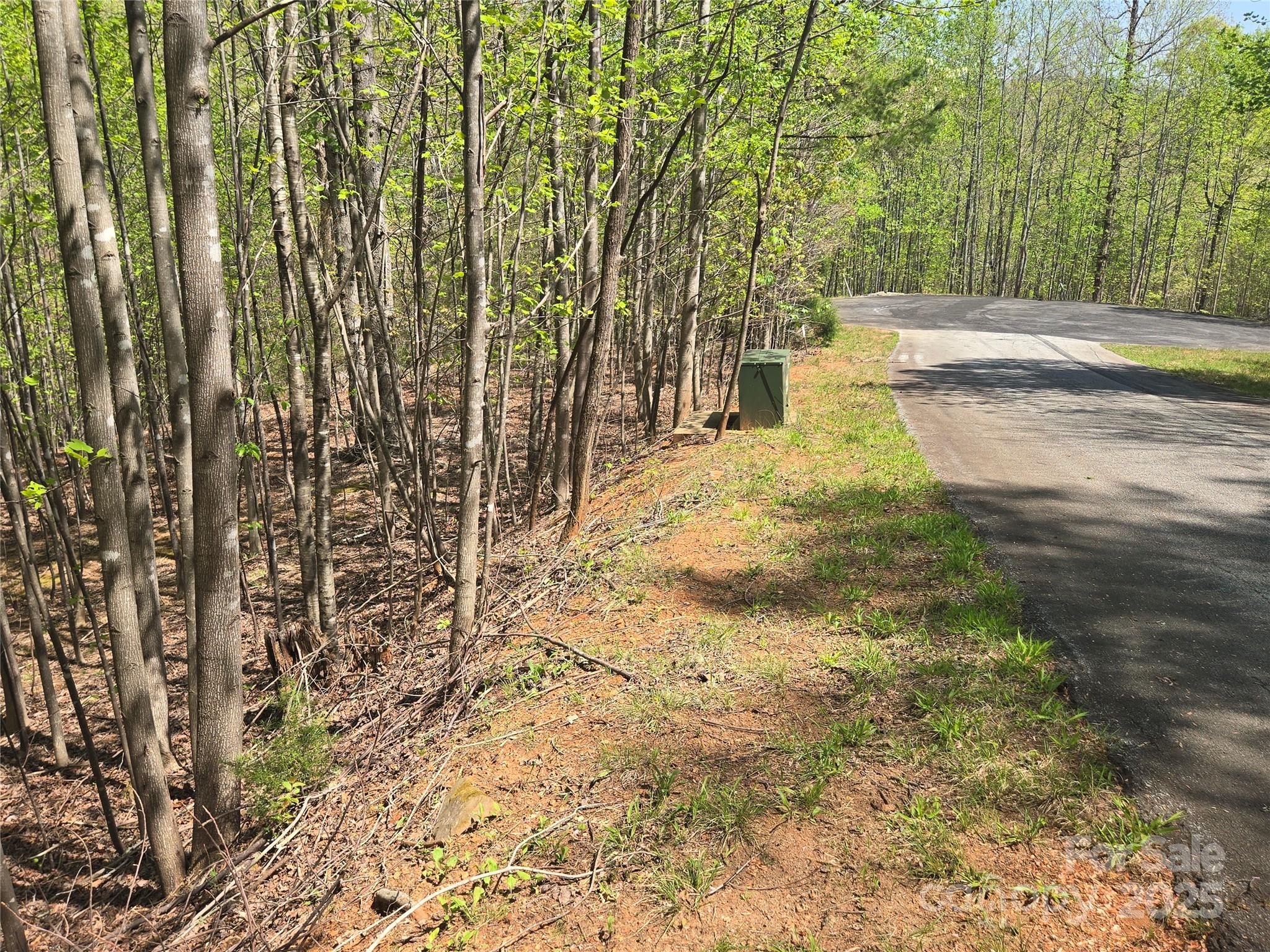 Lot 11 Back Hollow Drive Property Photo 4