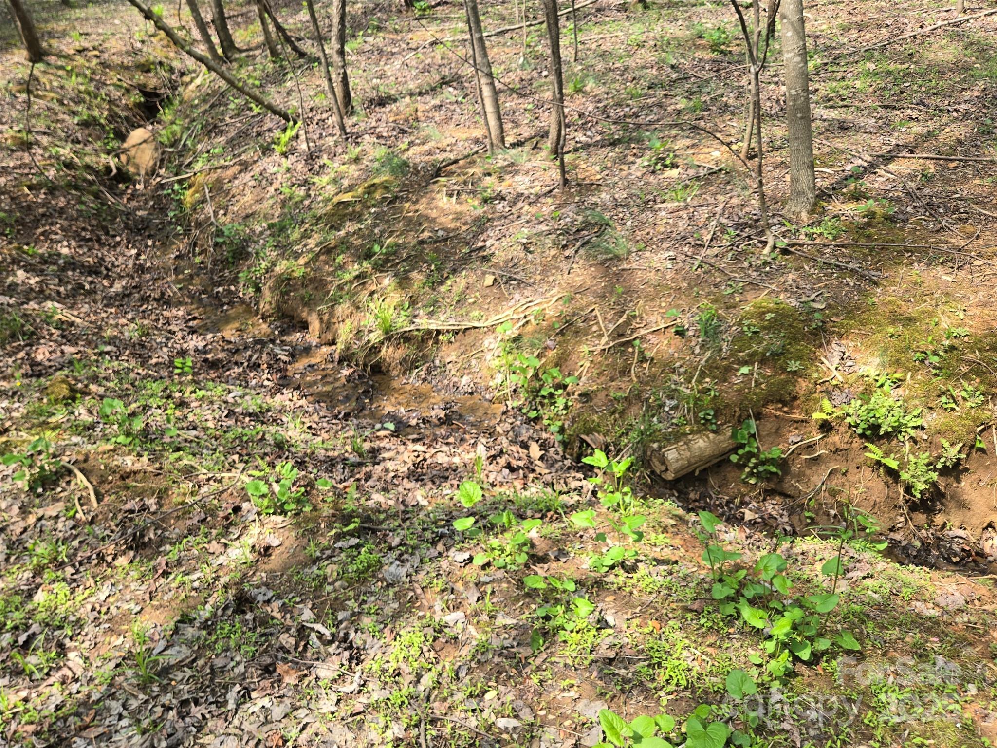 Lot 11 Back Hollow Drive Property Photo 5
