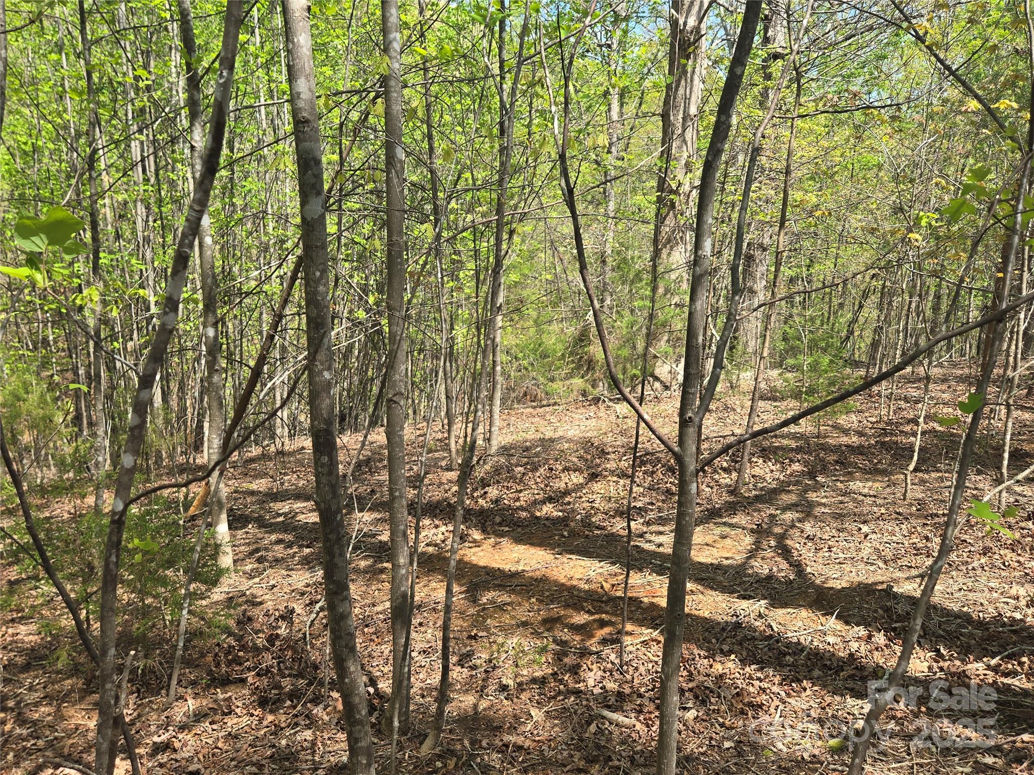 Lot 11 Back Hollow Drive Property Photo 7