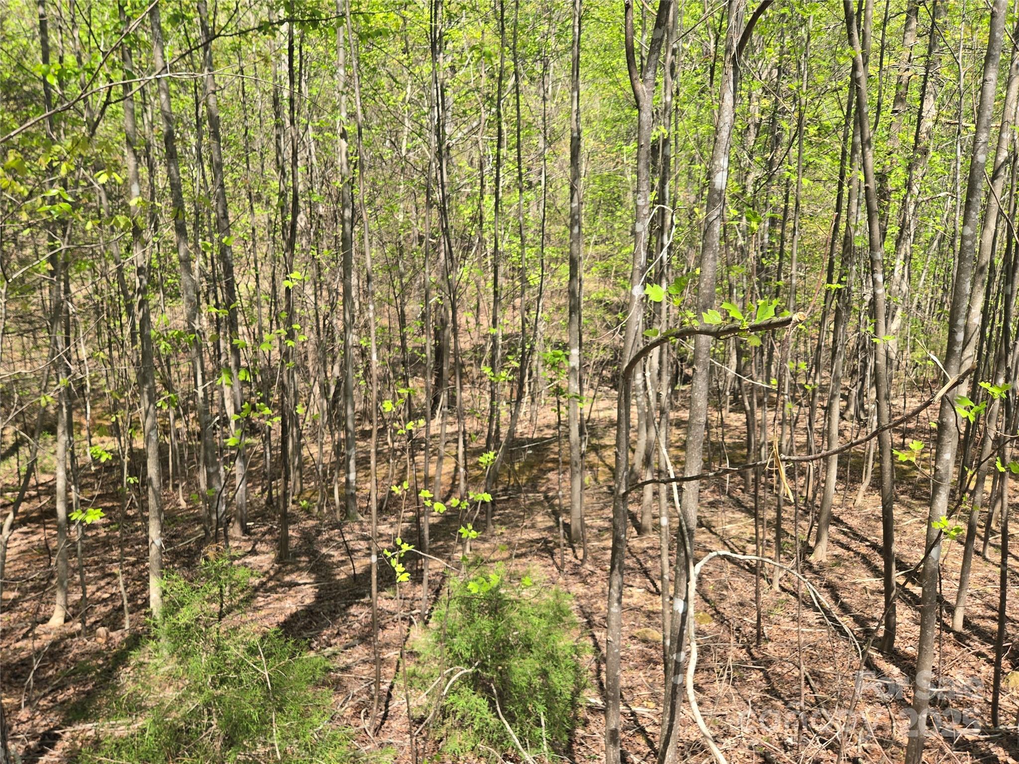 Lot 11 Back Hollow Drive Property Photo 9