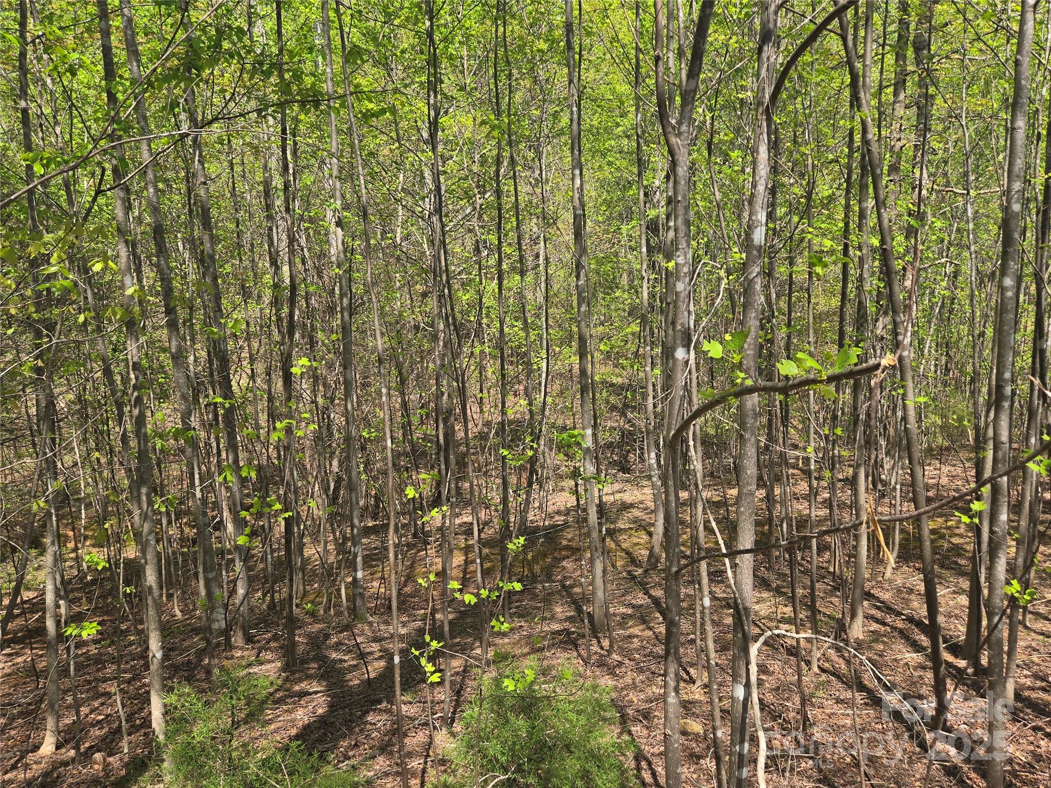 Lot 11 Back Hollow Drive Property Photo 10