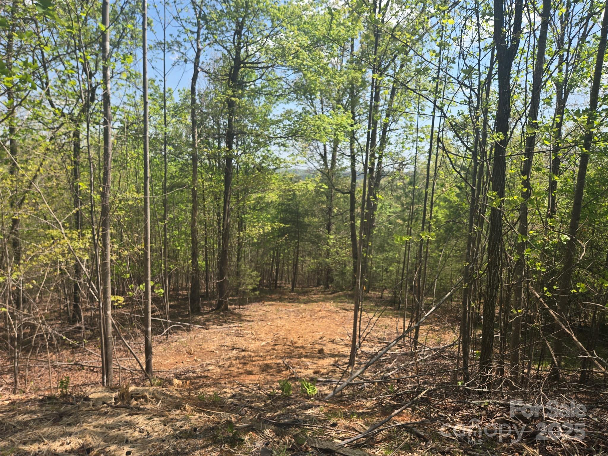 Lot 13 Back Hollow Drive Property Photo 1