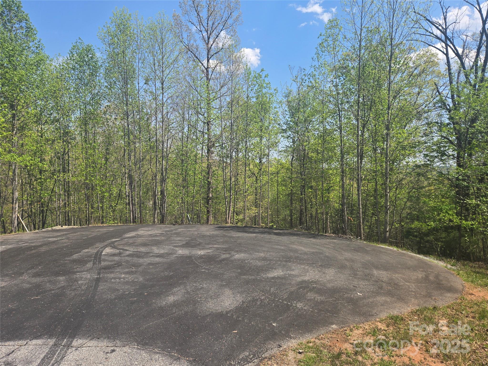 Lot 13 Back Hollow Drive Property Photo 2