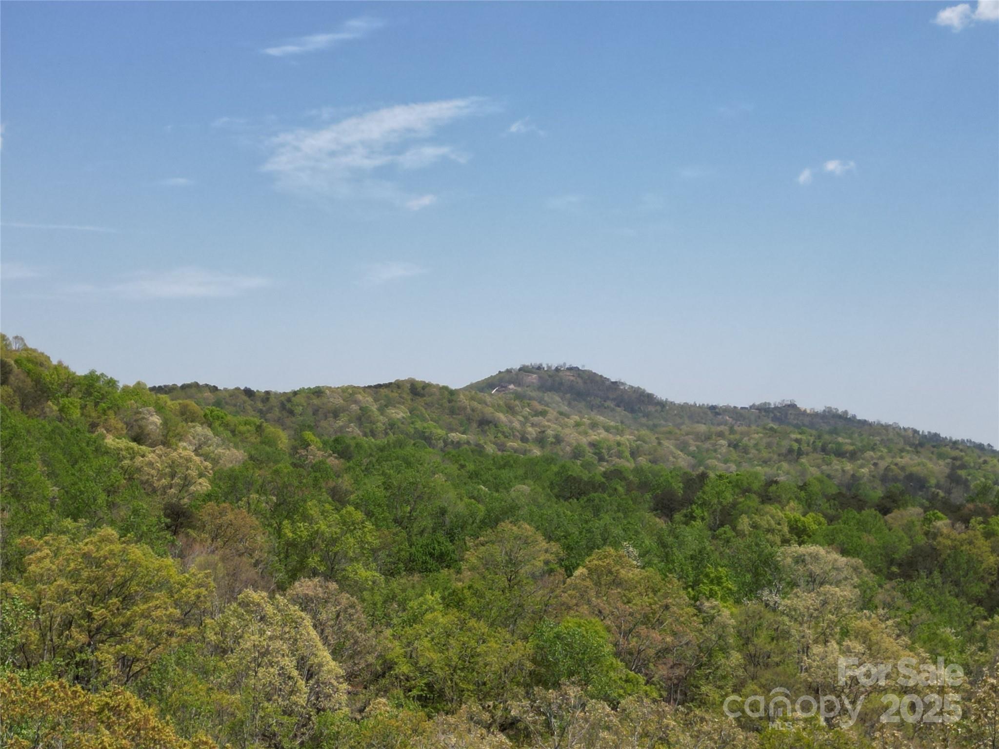 Lot 13 Back Hollow Drive Property Photo 3