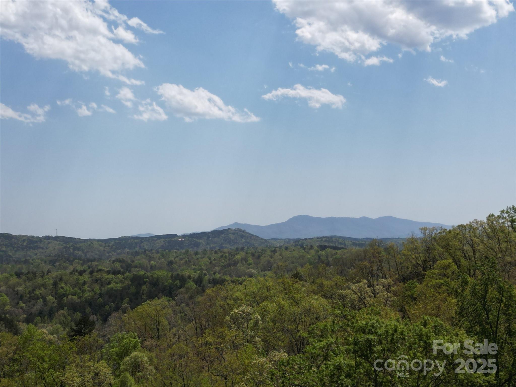 Lot 13 Back Hollow Drive Property Photo 4