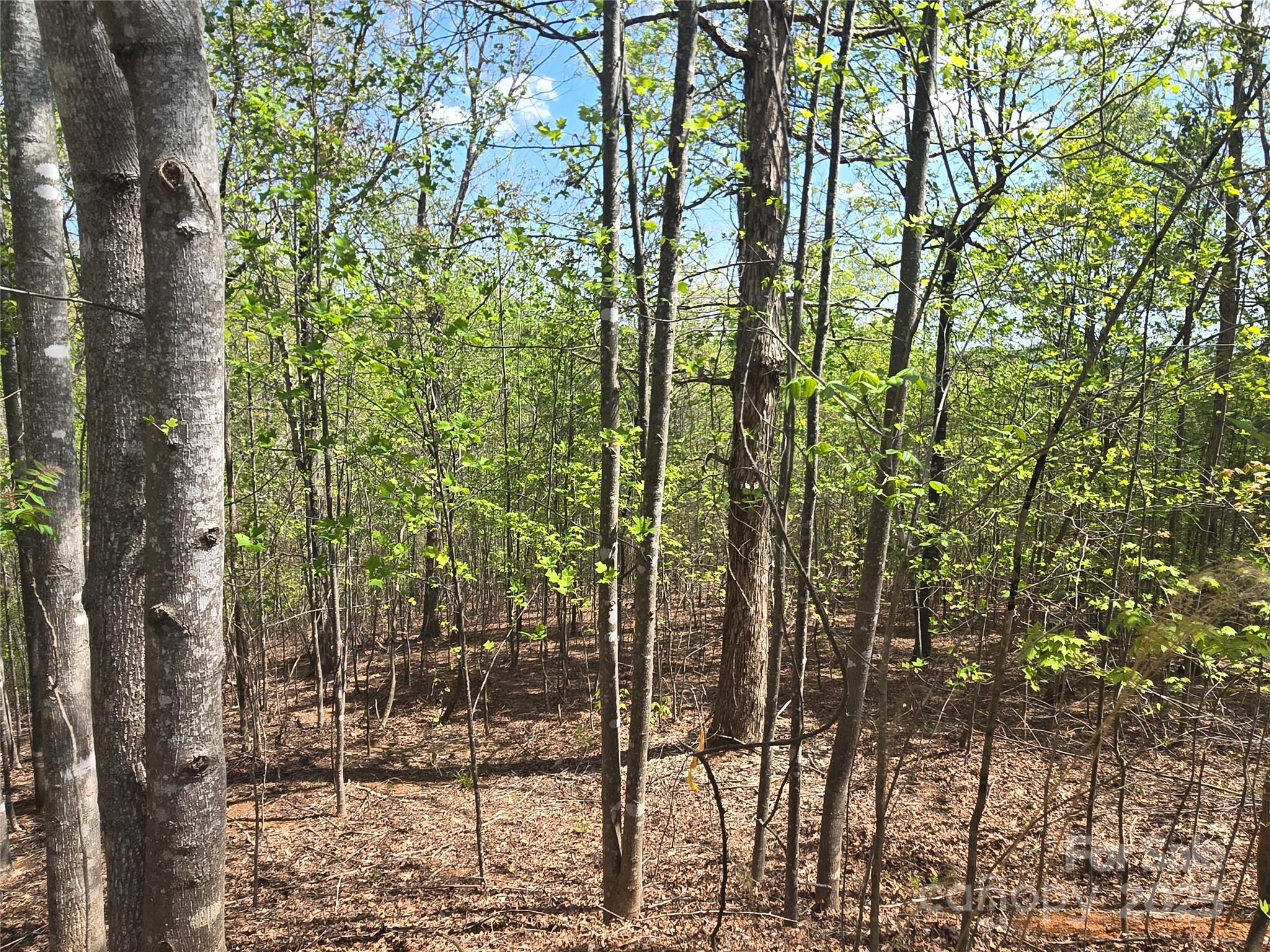 Lot 13 Back Hollow Drive Property Photo 5