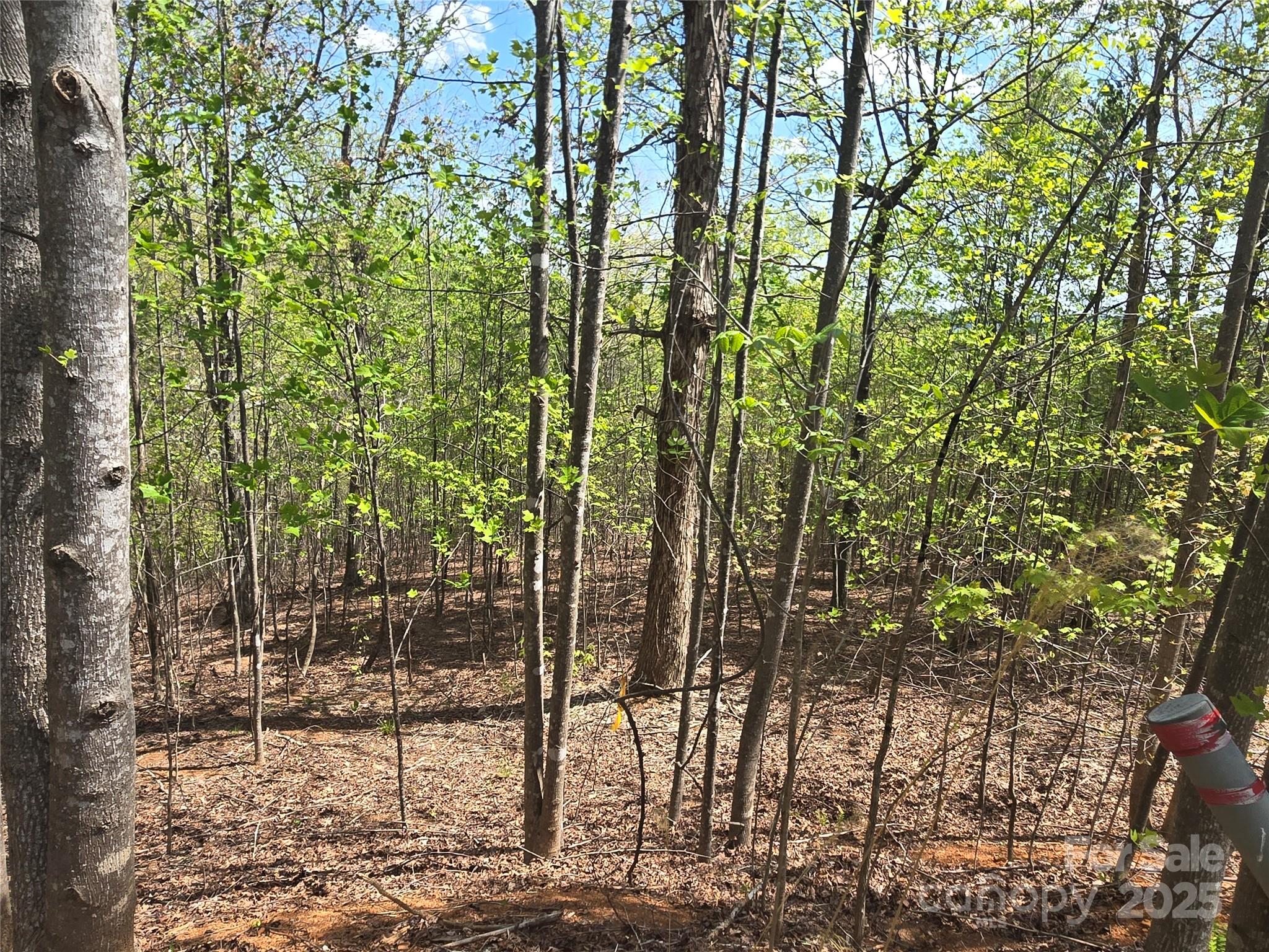 Lot 13 Back Hollow Drive Property Photo 6