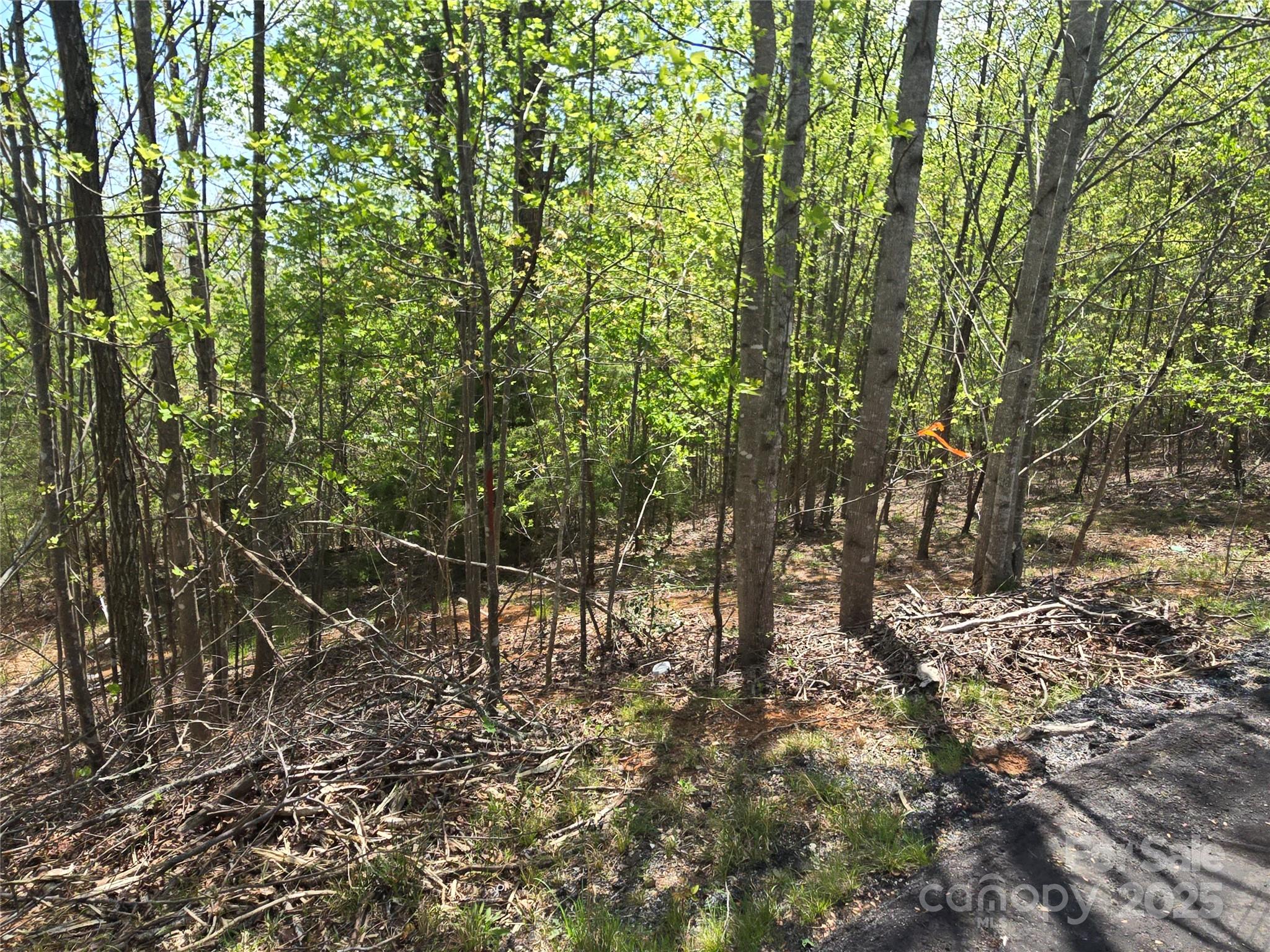 Lot 13 Back Hollow Drive Property Photo 7