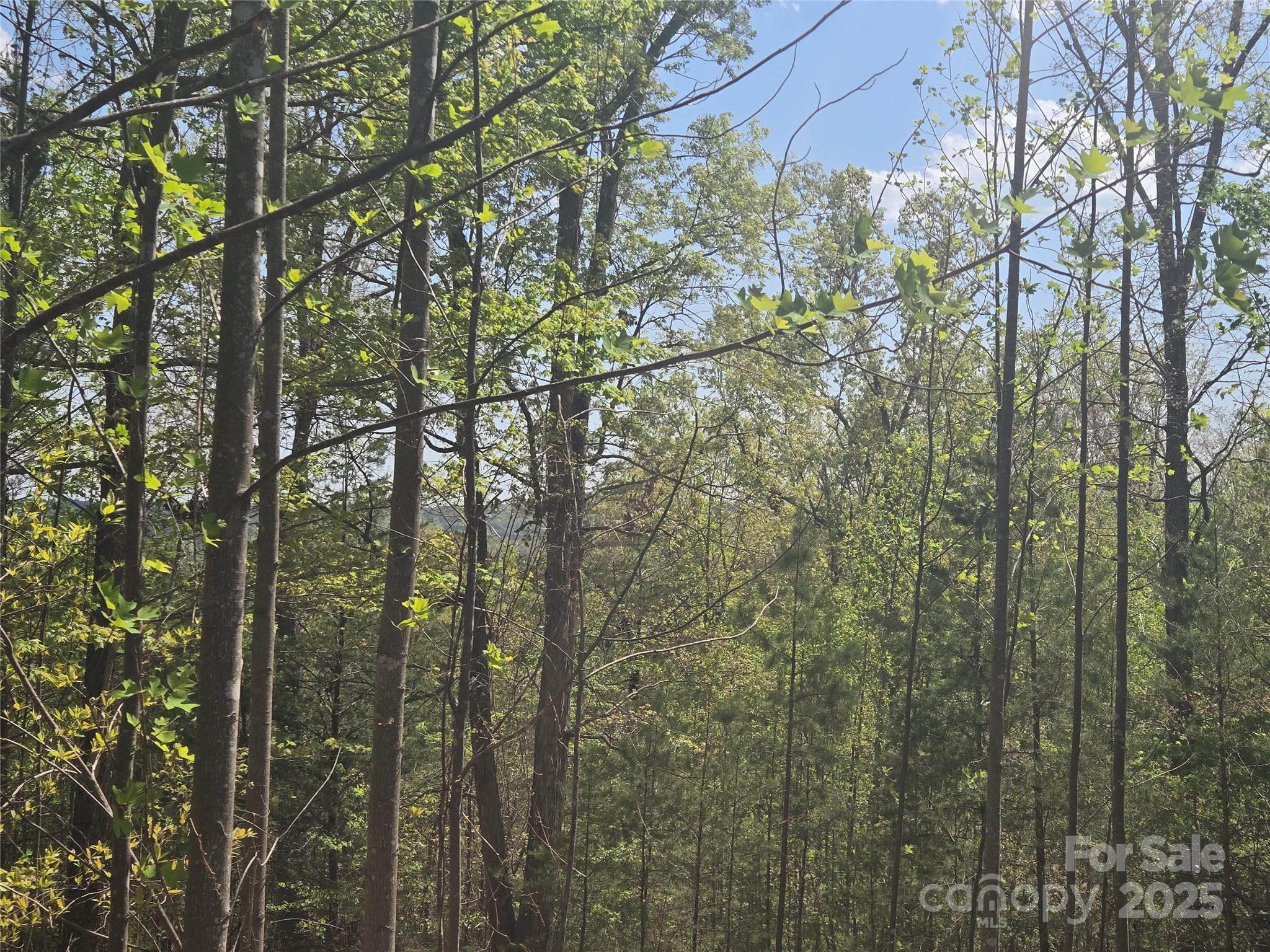 Lot 13 Back Hollow Drive Property Photo 8