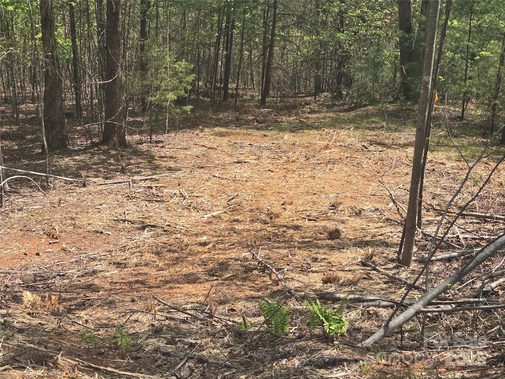 Lot 13 Back Hollow Drive Property Photo 9