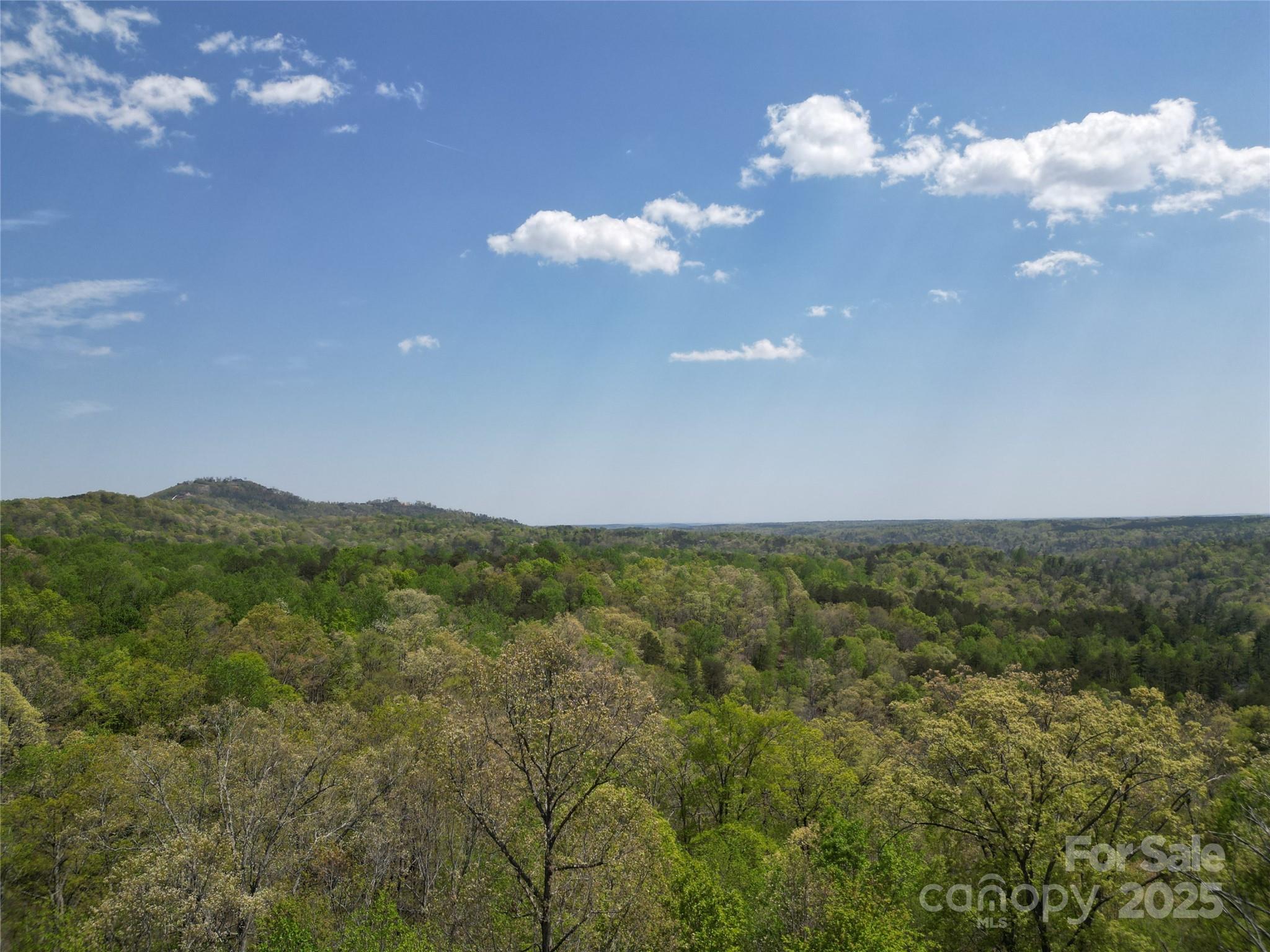 Lot 13 Back Hollow Drive Property Photo 10