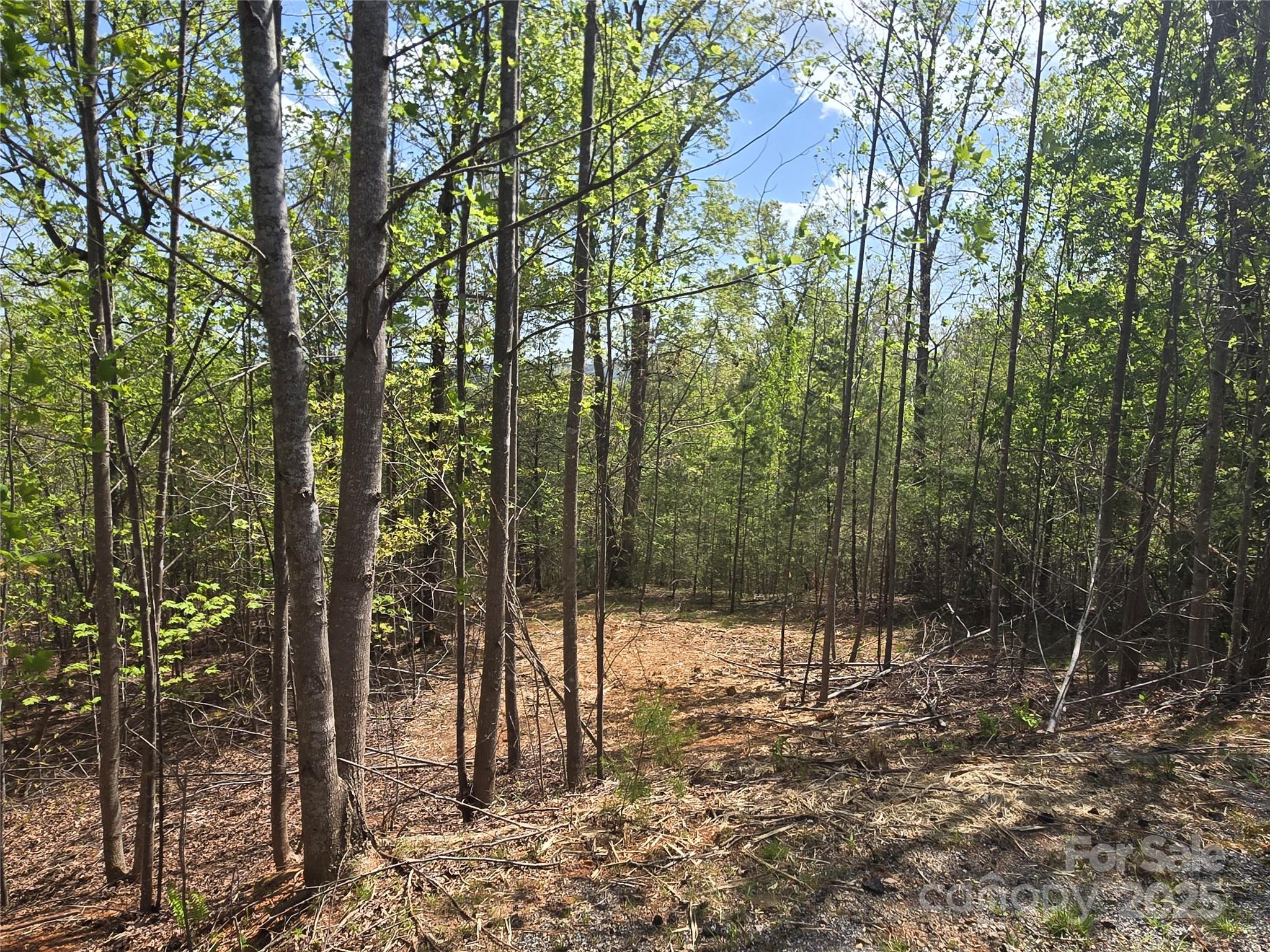 Lot 13 Back Hollow Drive Property Photo 11