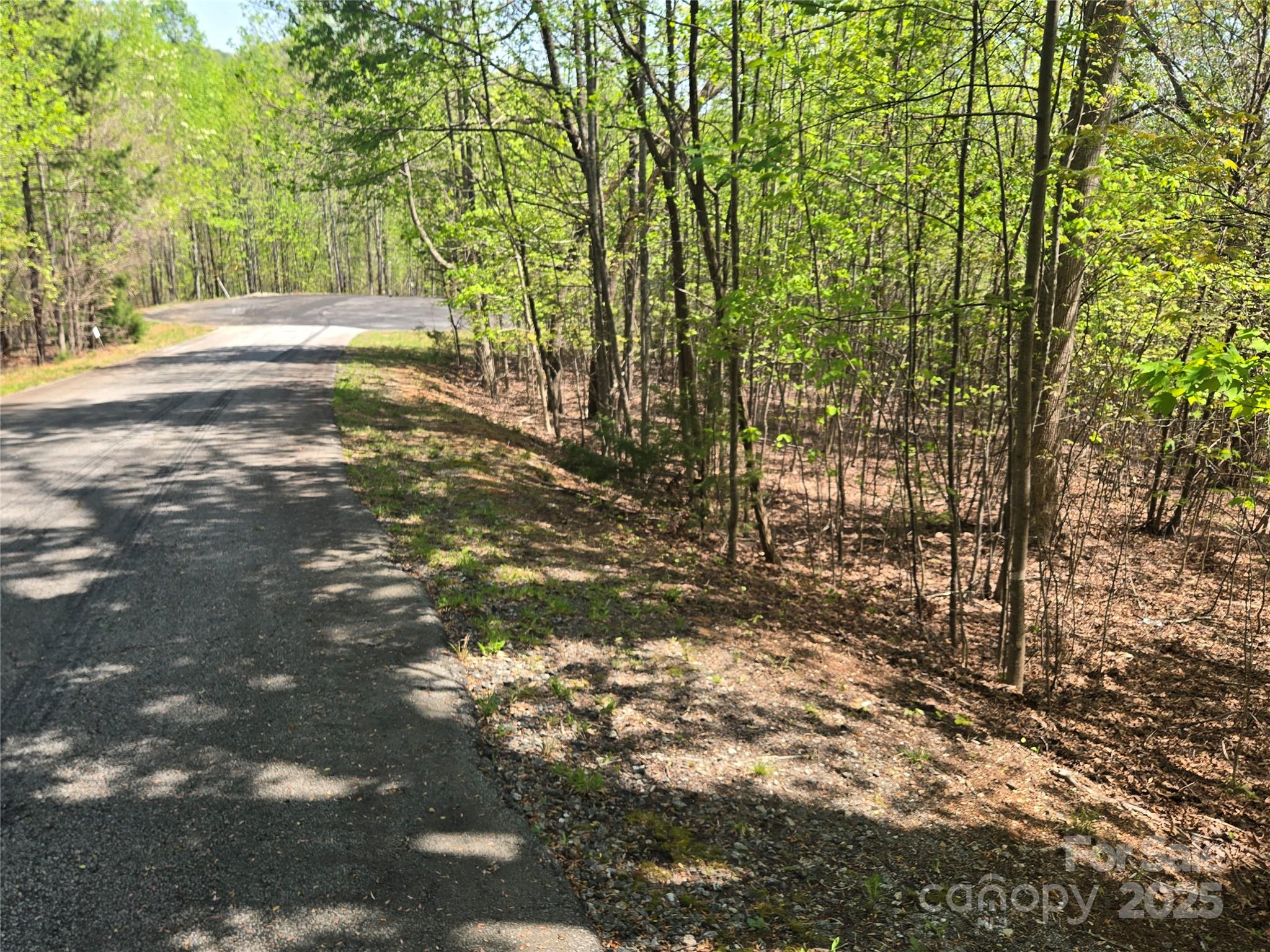 Lot 14 Back Hollow Drive Property Photo