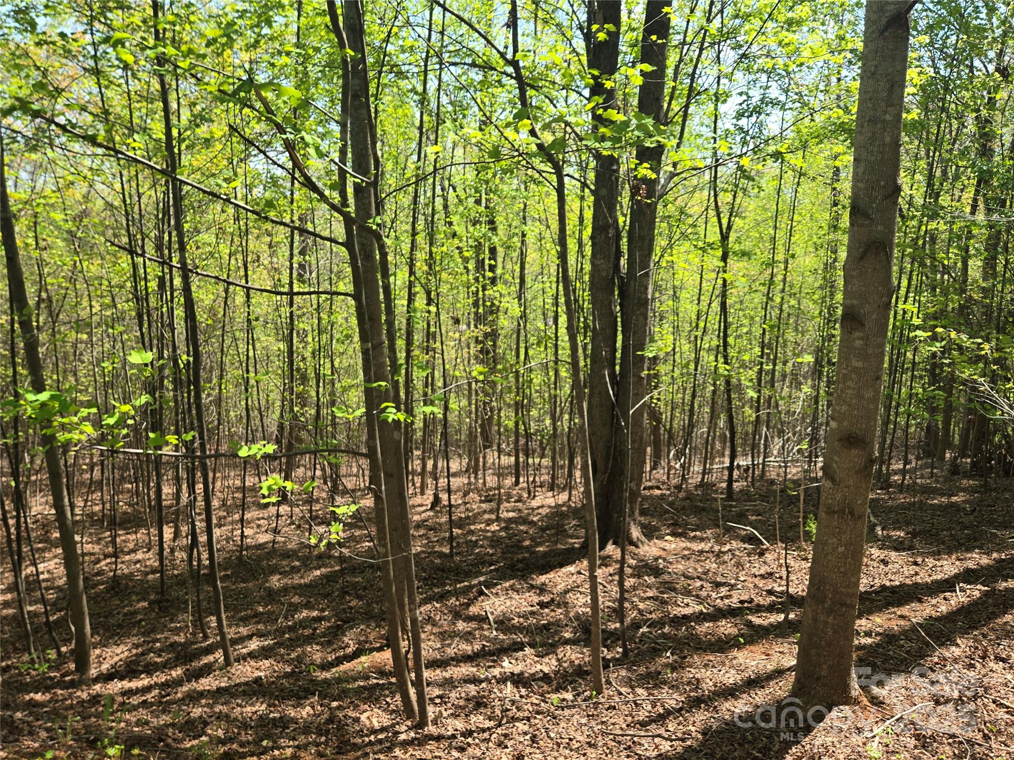 Lot 14 Back Hollow Drive Property Photo 1
