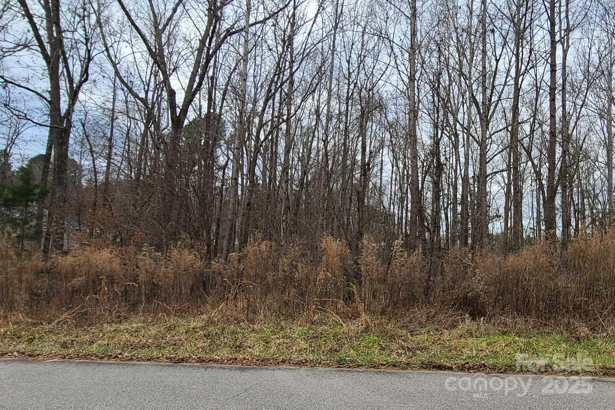 Tbd Lazy Oak Drive Property Photo 5