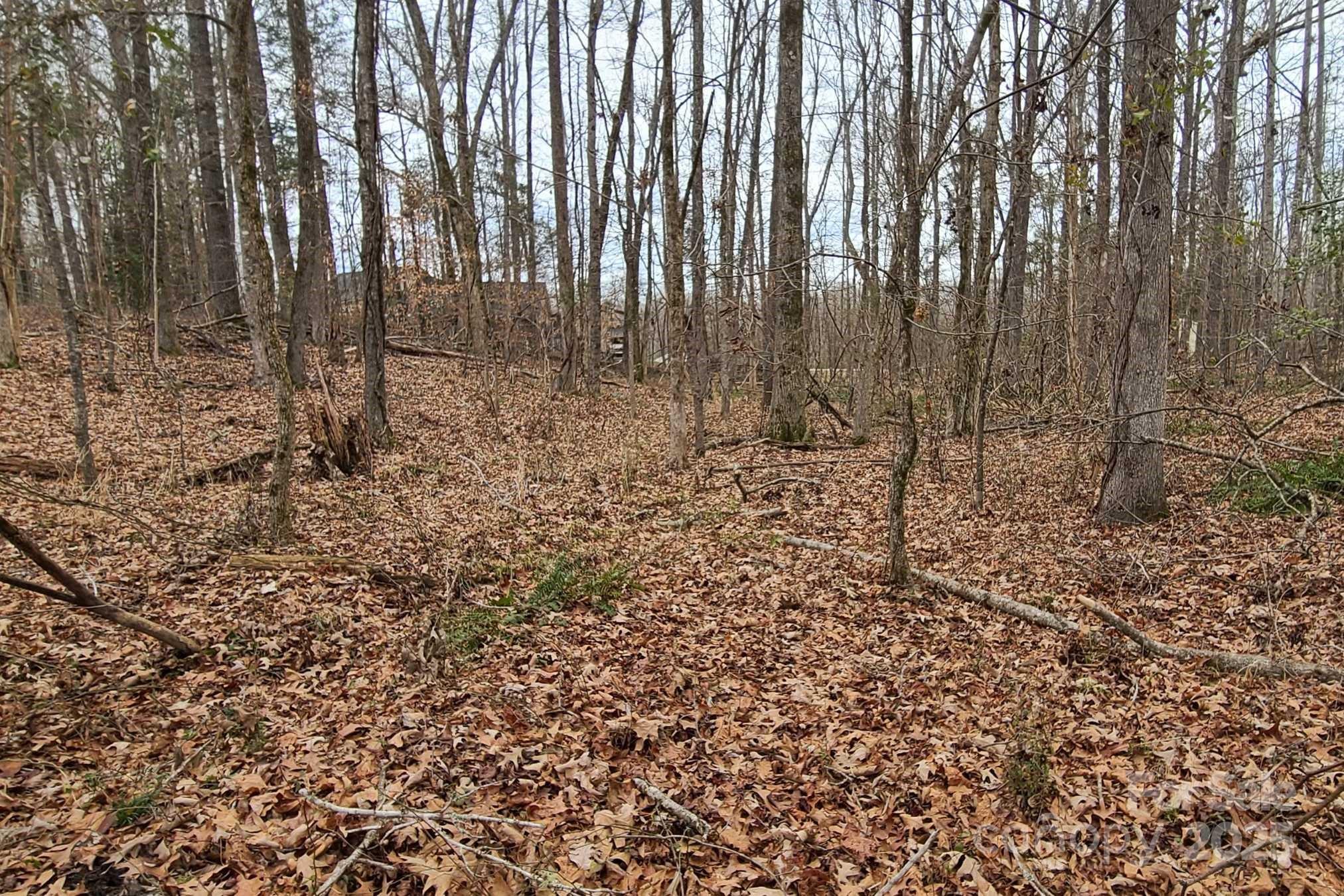 Tbd Lazy Oak Drive Property Photo 6