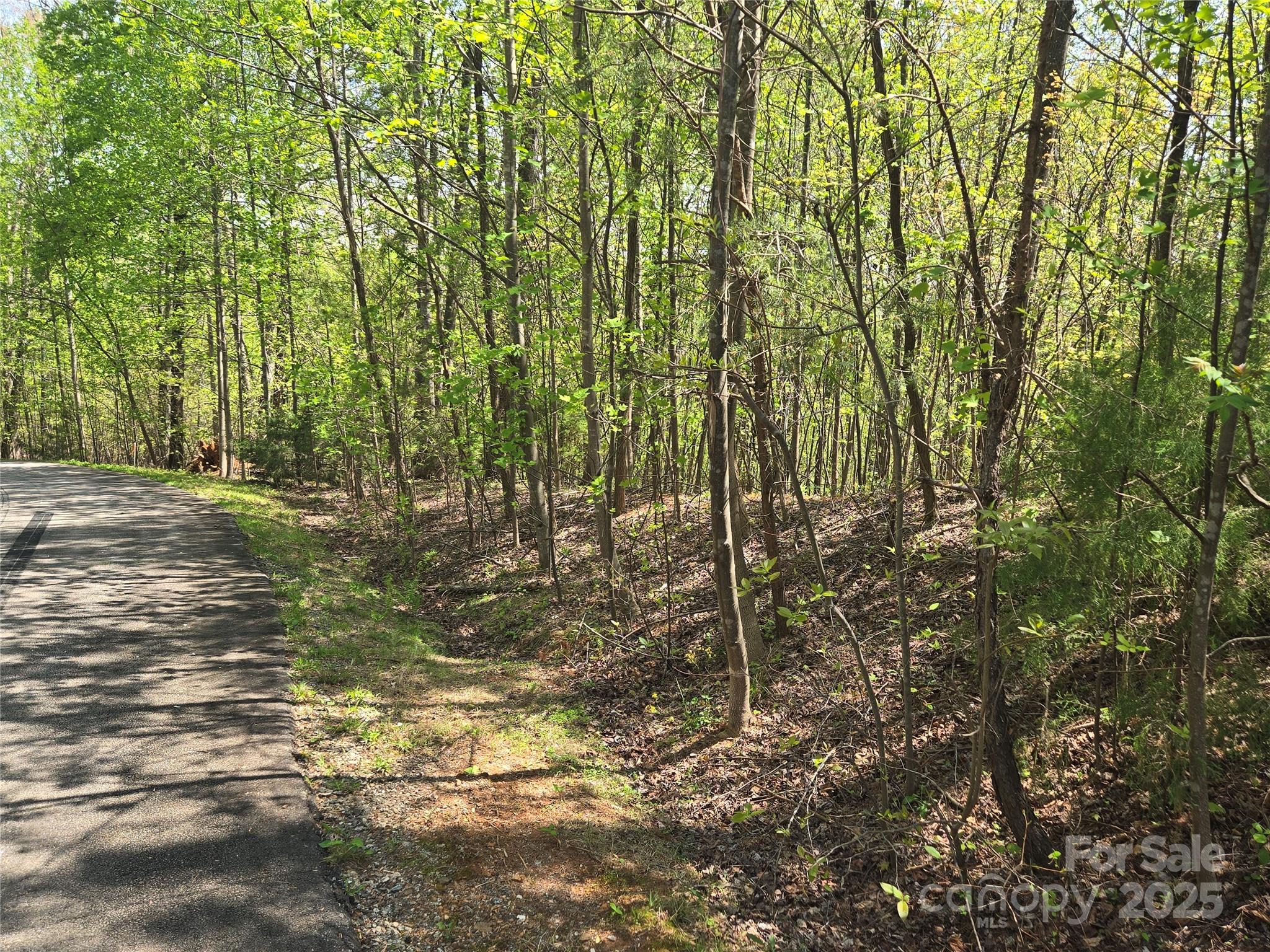 Lot 15 Touch Me Not Trail Property Photo 1