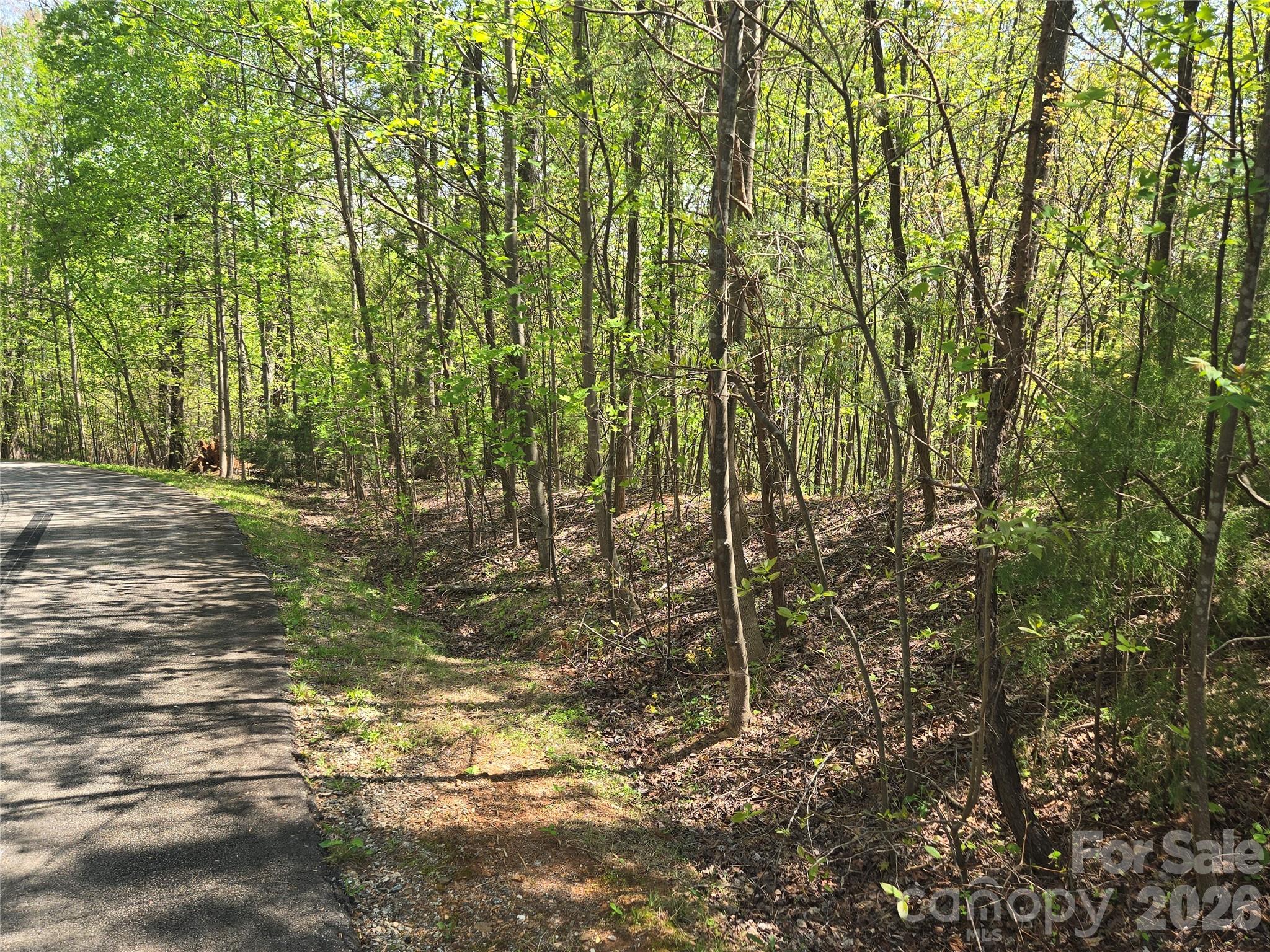 Lot 15 Touch Me Not Trail Property Photo 1