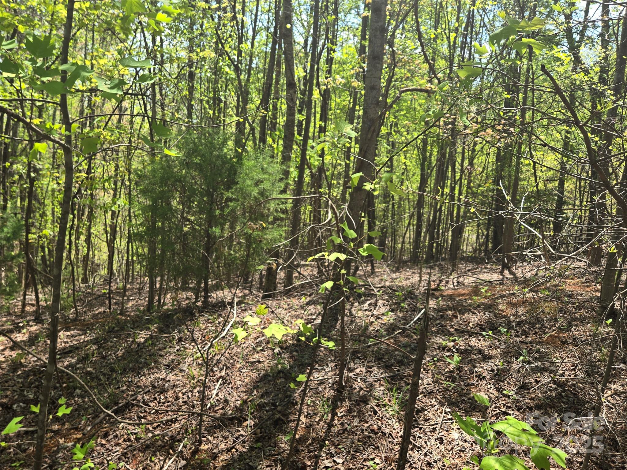 Lot 15 Touch Me Not Trail Property Photo 3